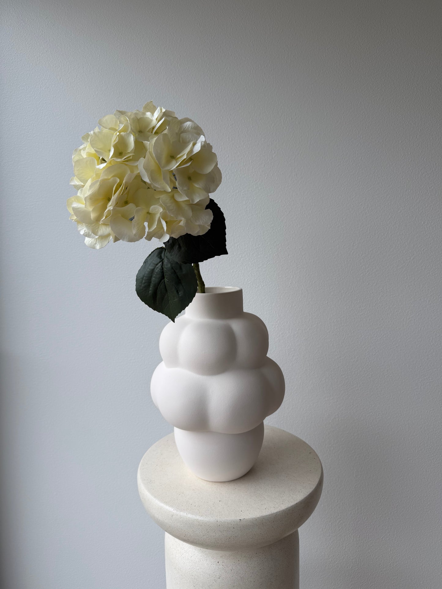 Hydrangea creme