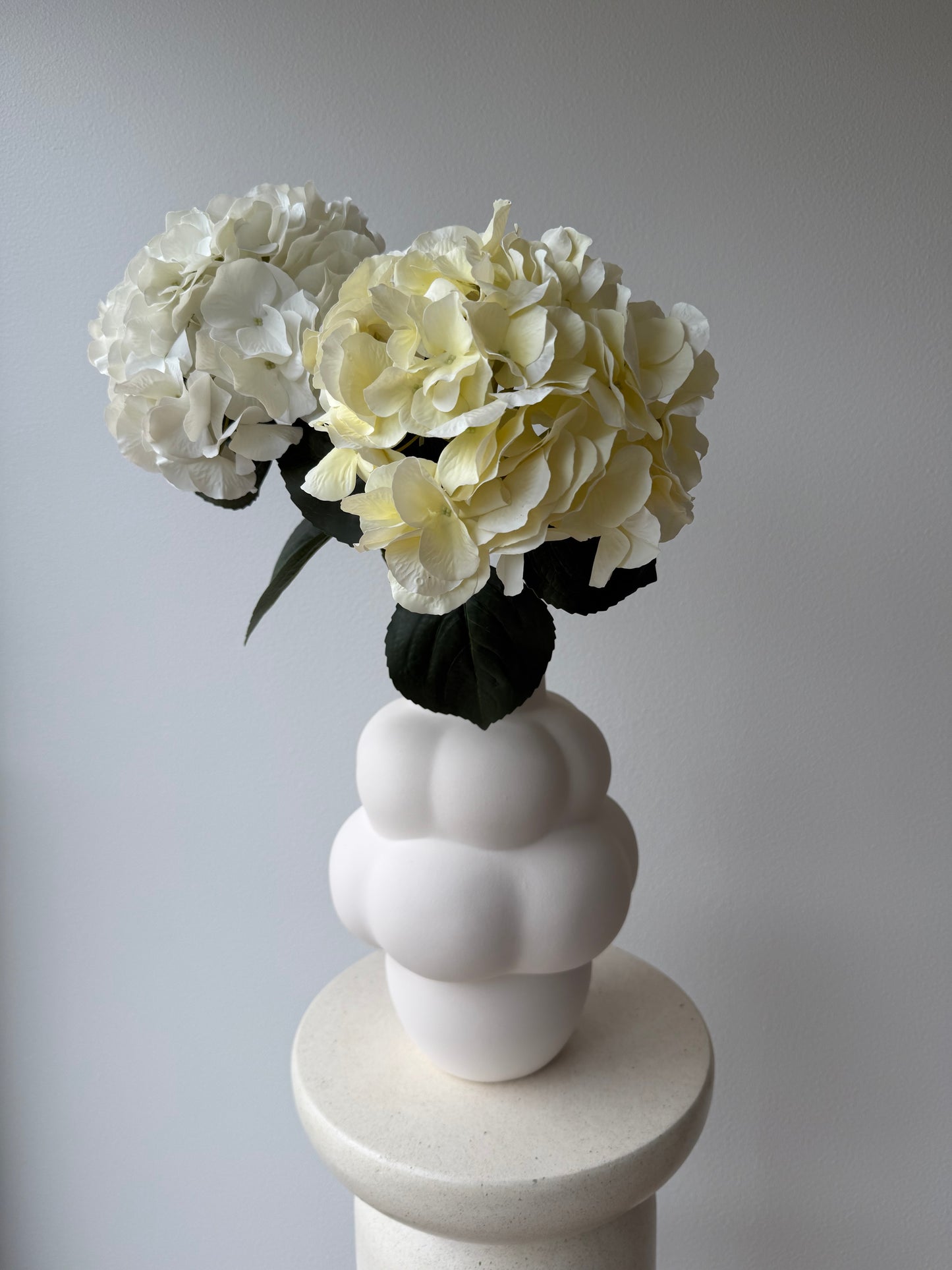 Hydrangea creme