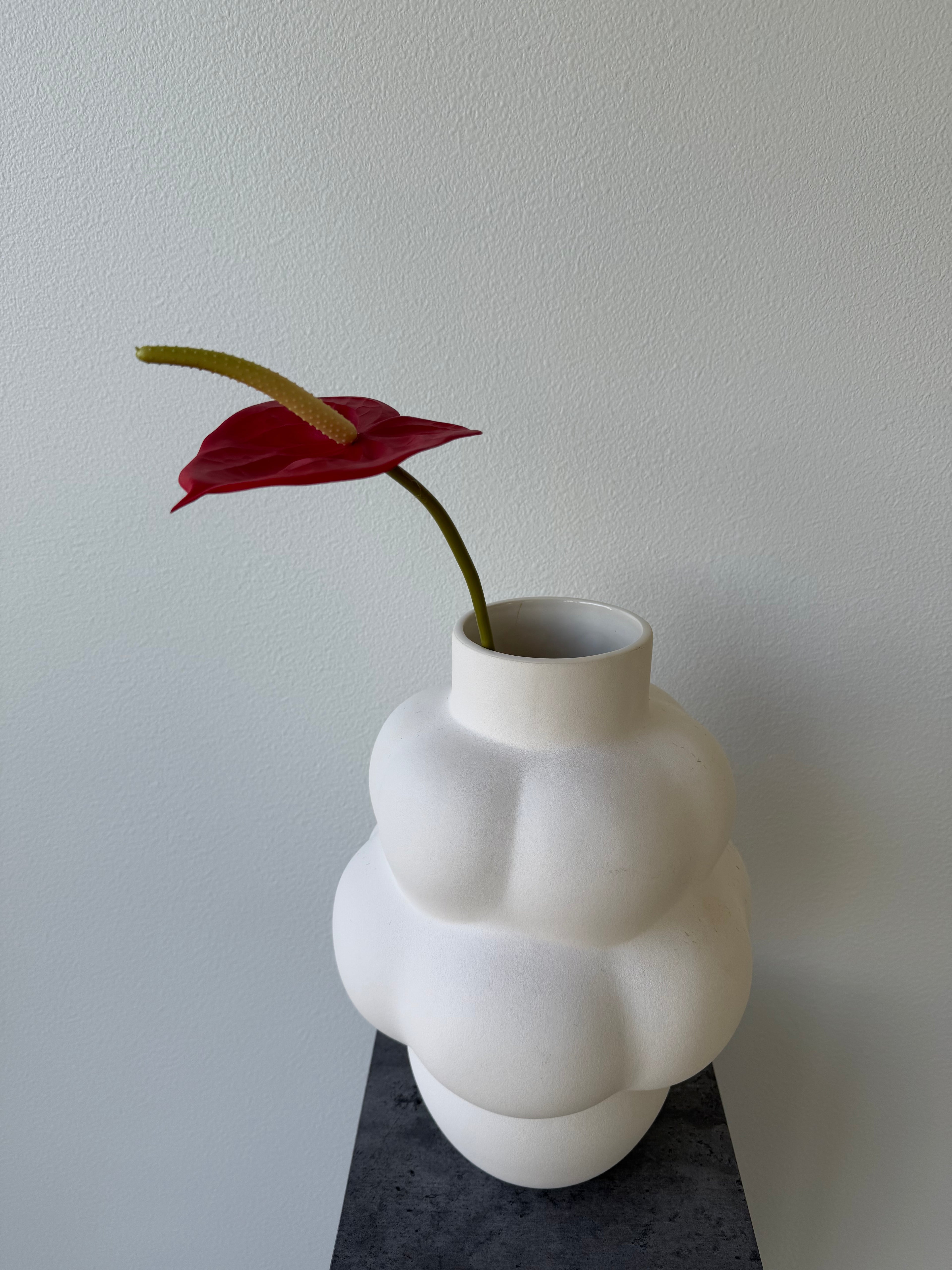 Deluxe red anthurium