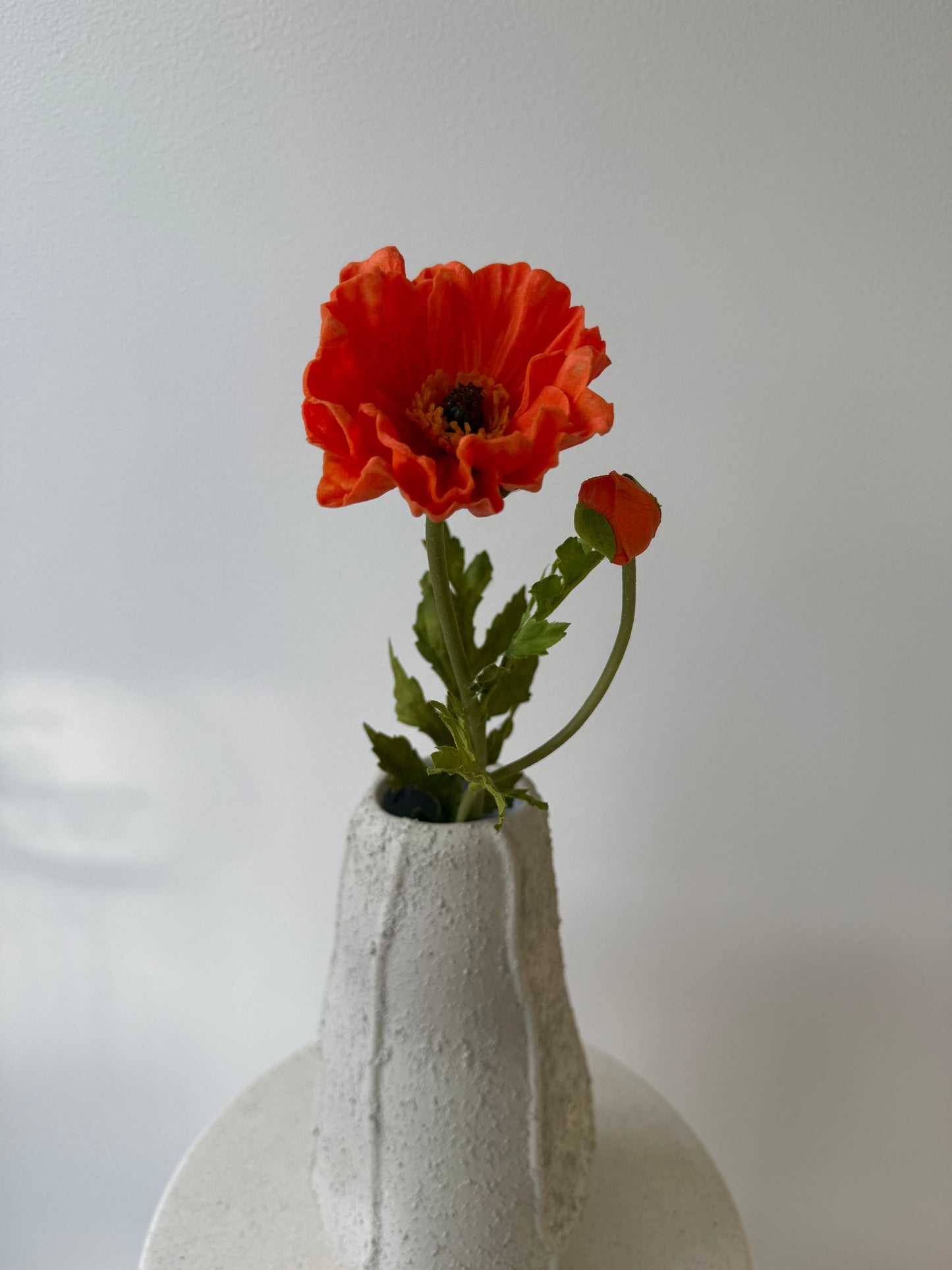 Deluxe poppy orange