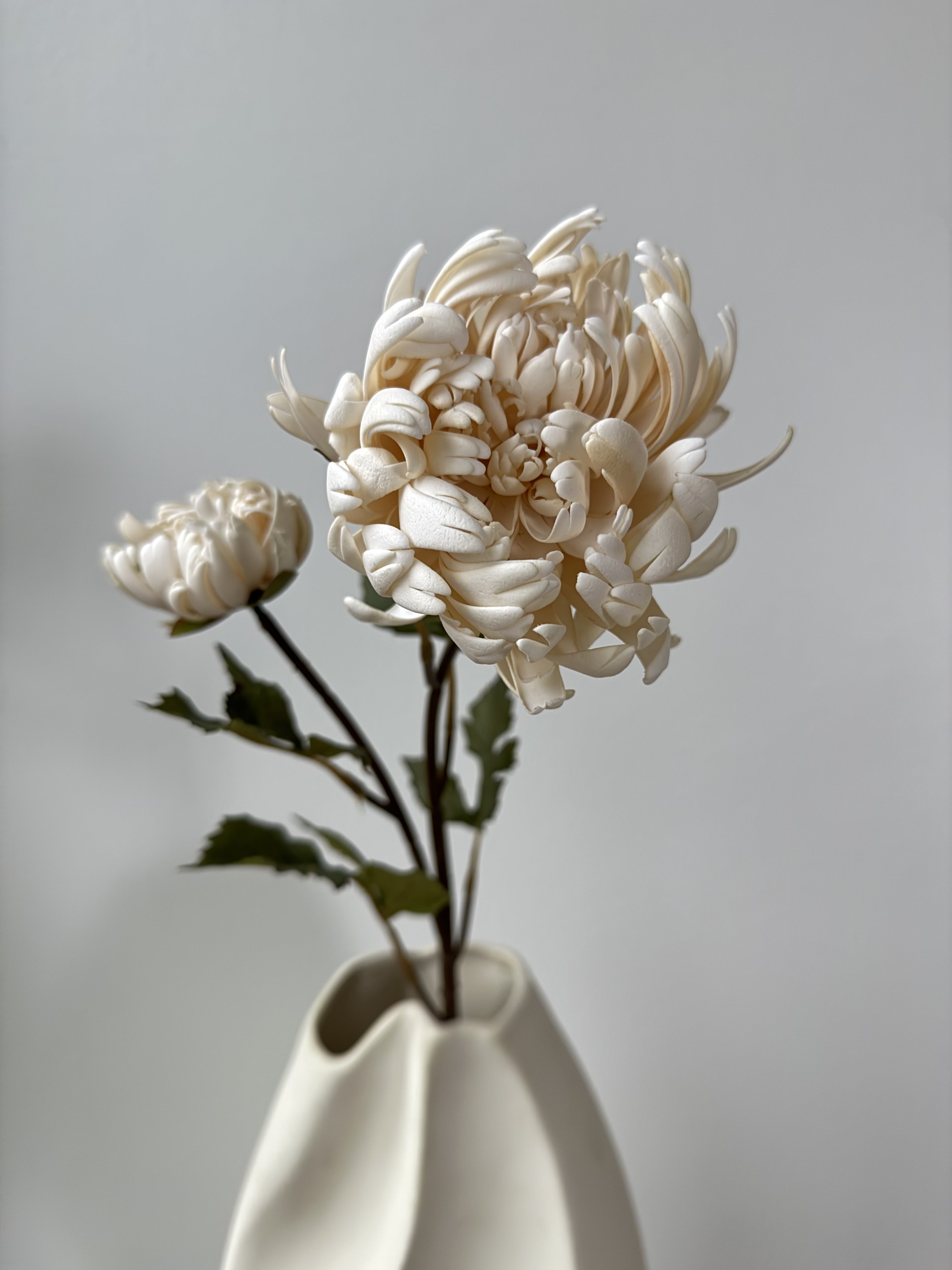 White dahlia