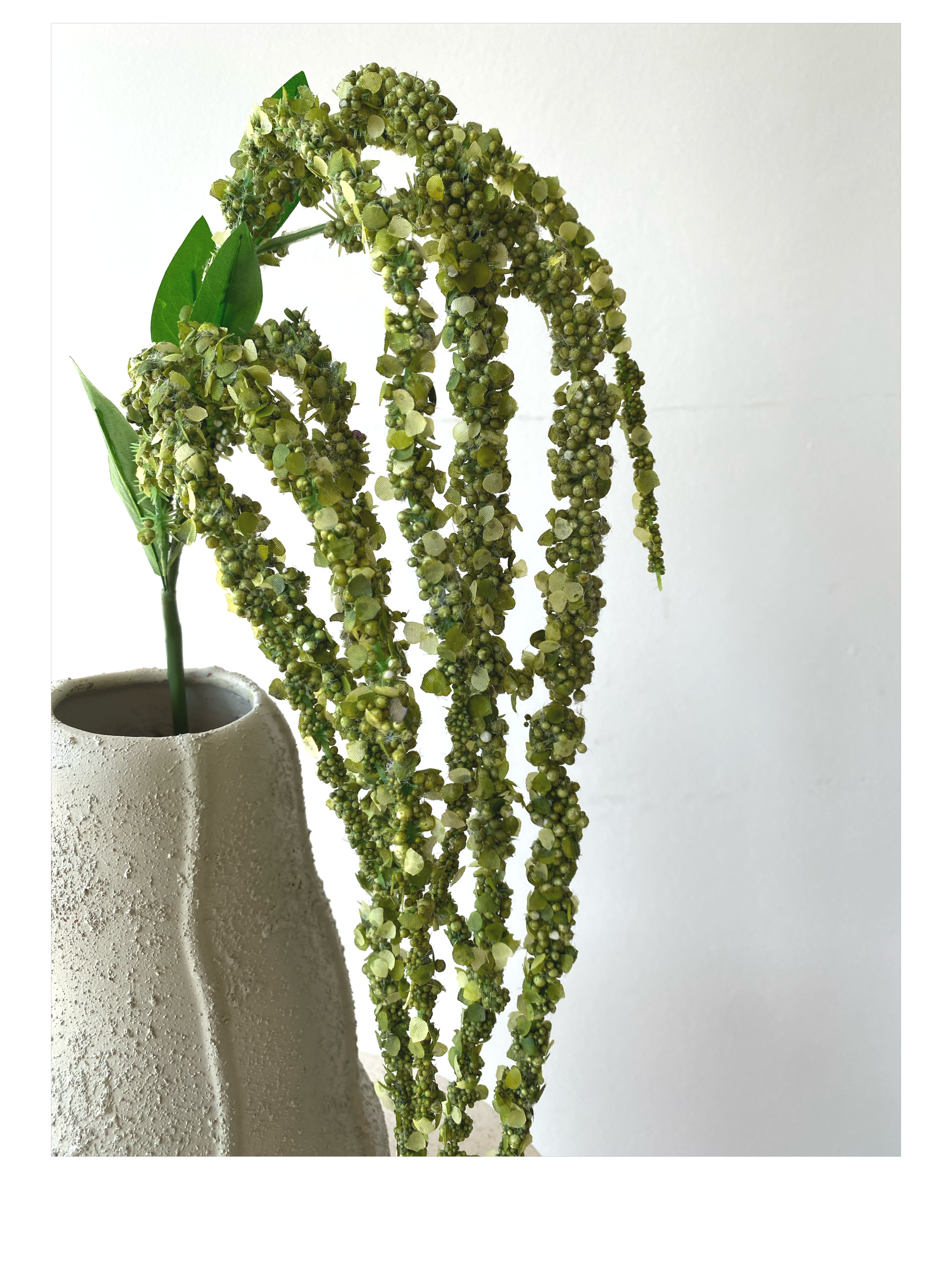 Amaranthus leaves