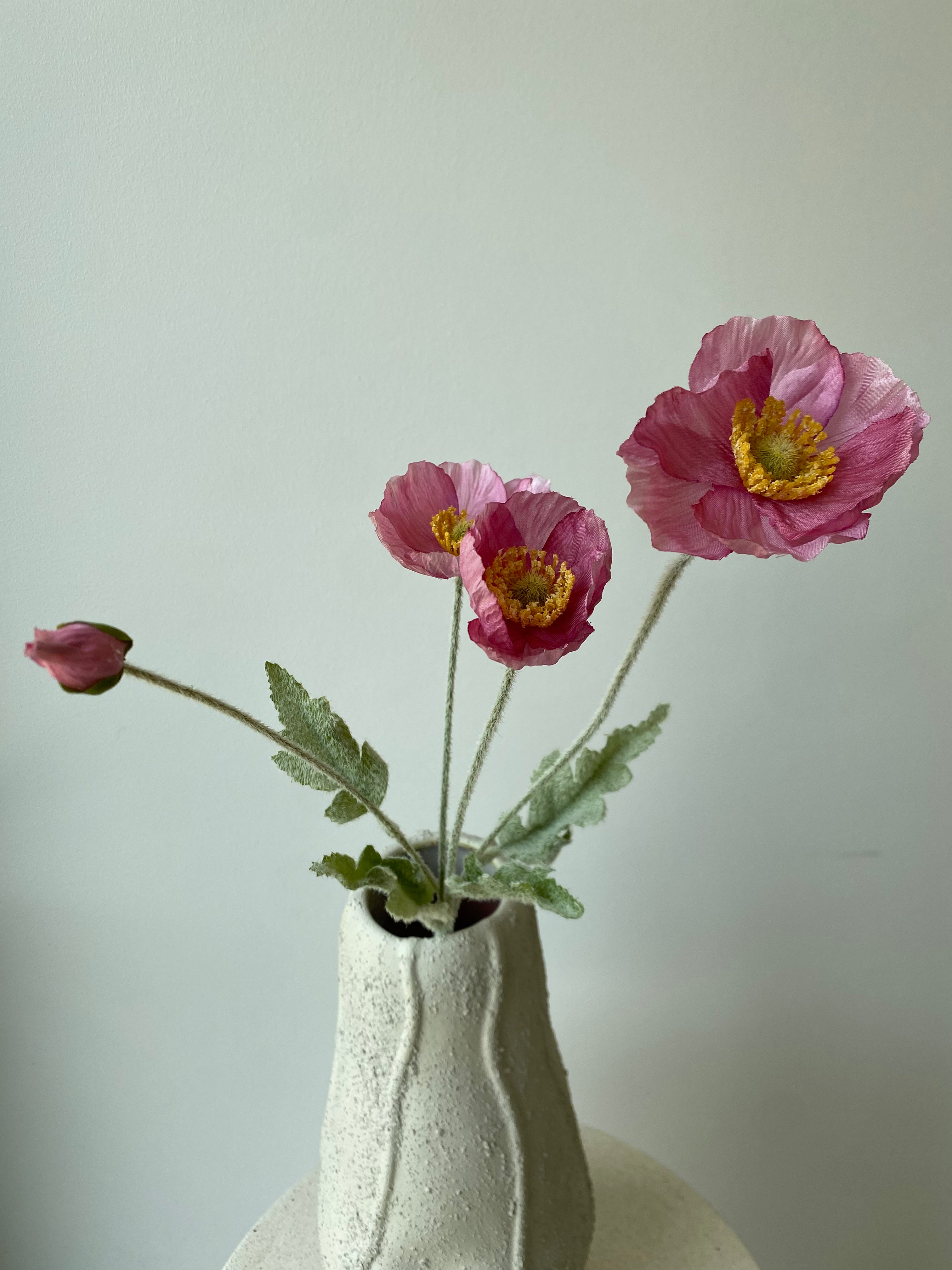 Poppy flower