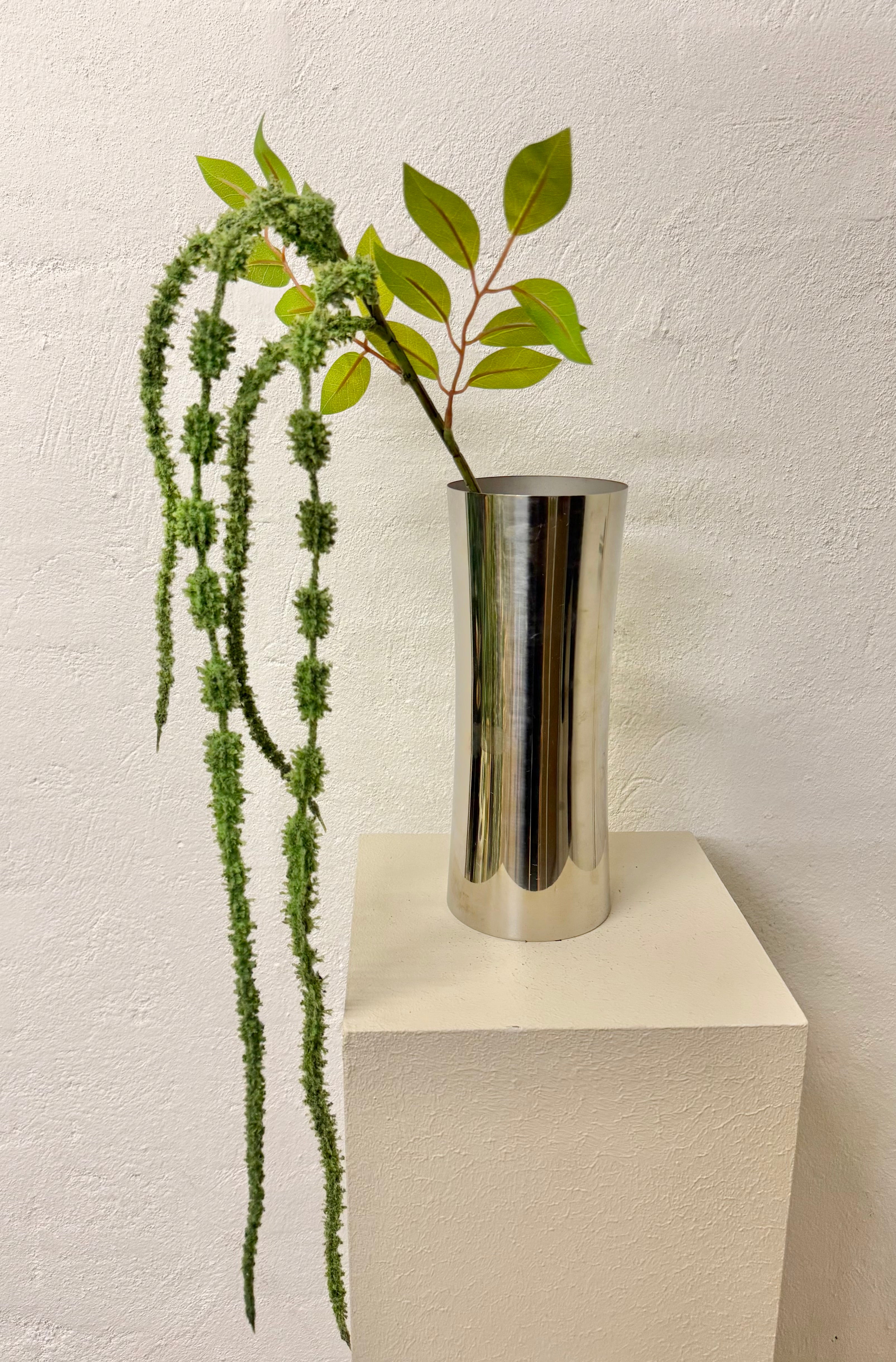Amaranthus 4 grene