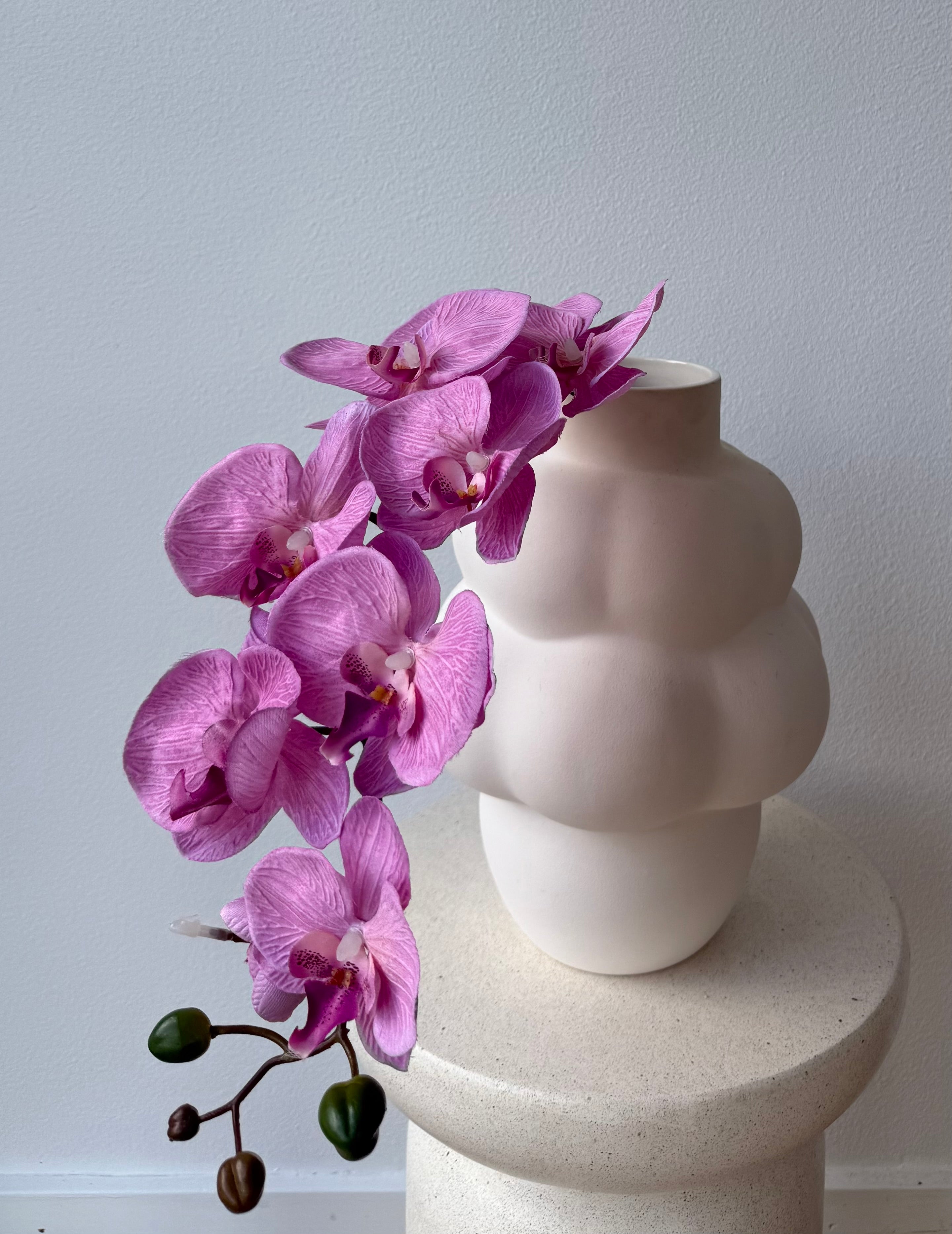 Summer Orchid