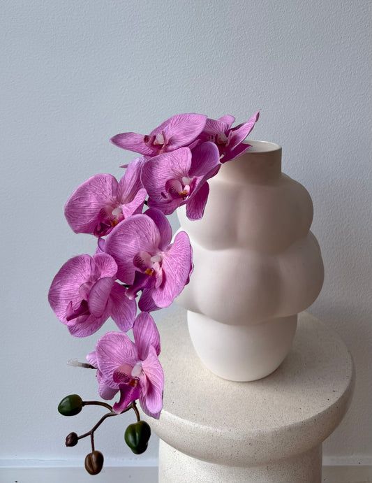 Summer Orchid