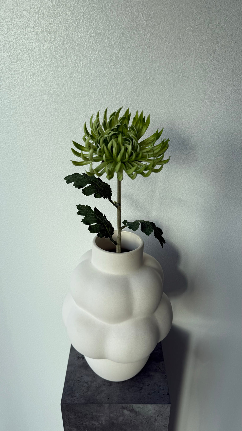 Kaktus dahlia