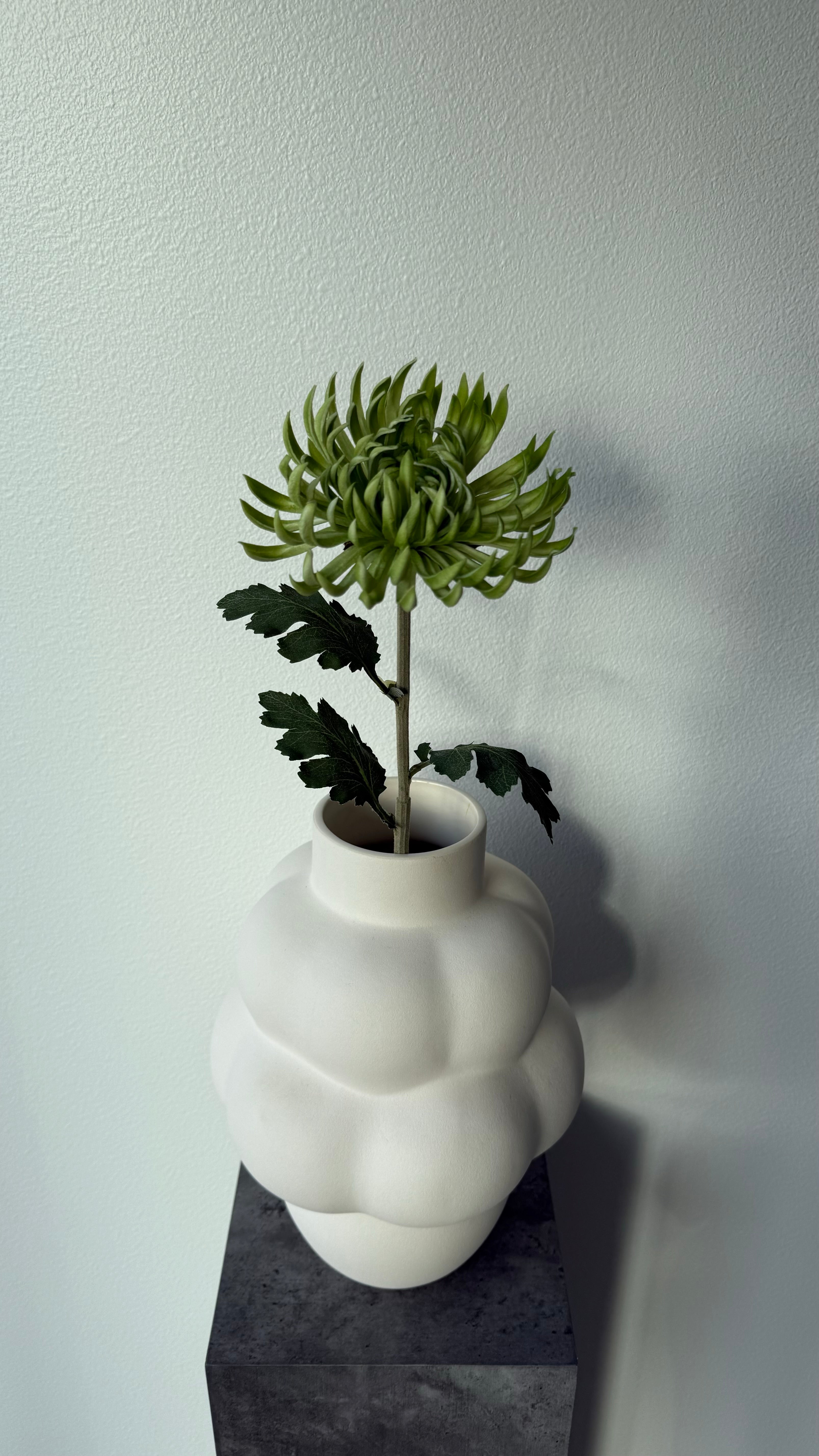 Kaktus dahlia