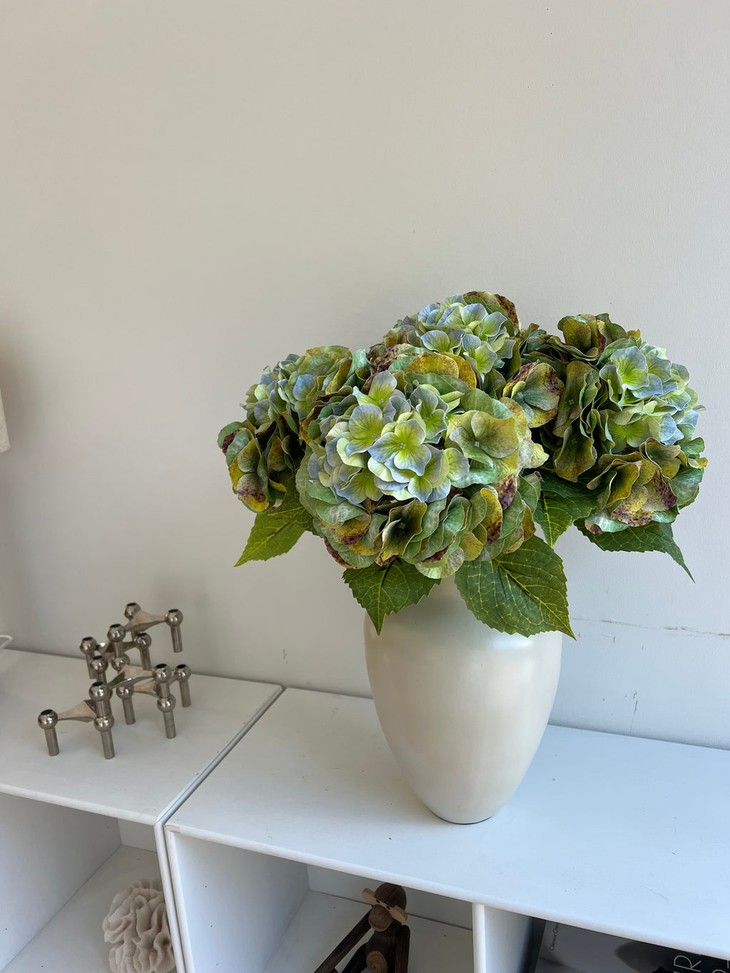 Hydrangea green fall with bright leaves
