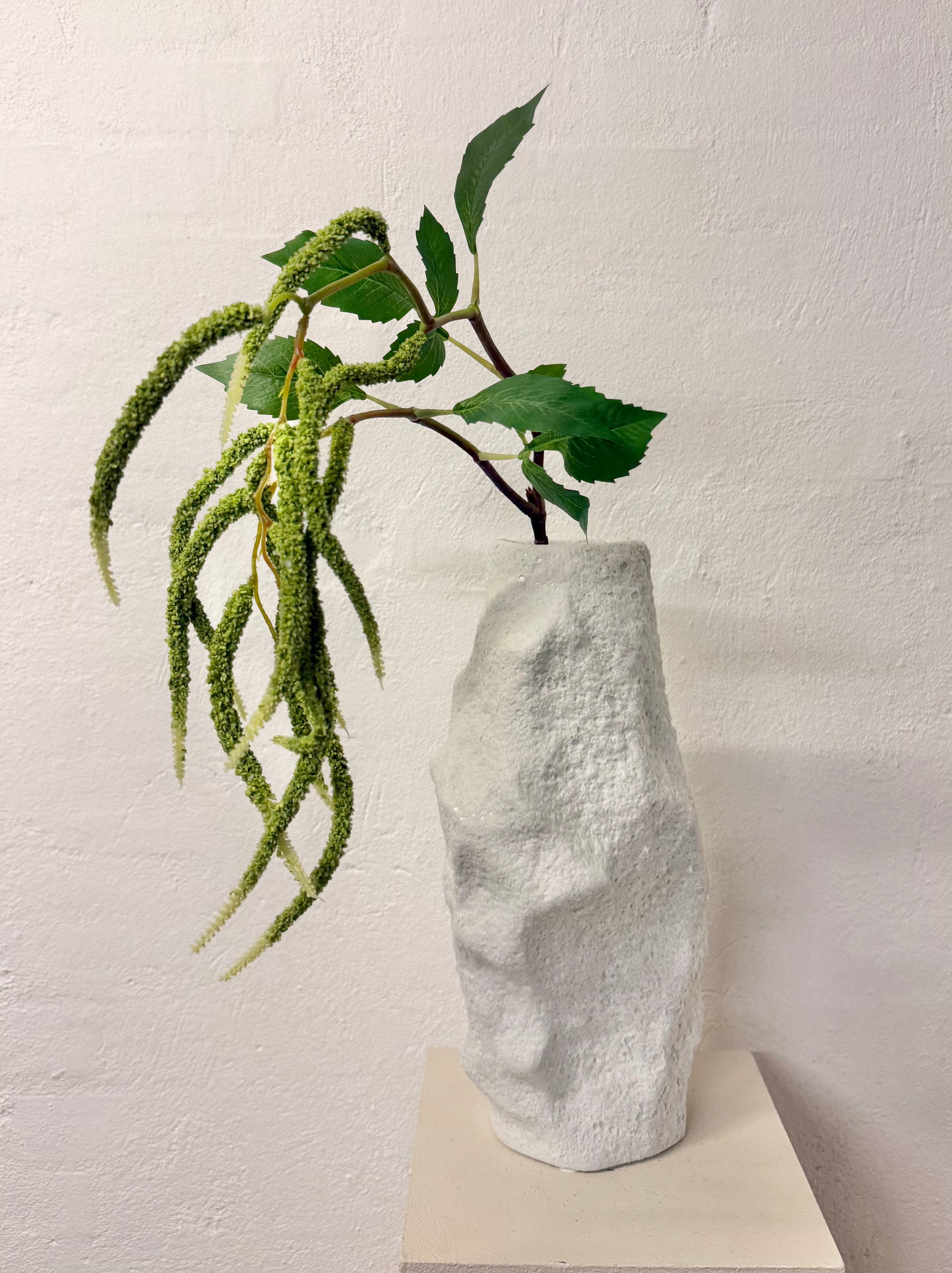 Amaranthus.