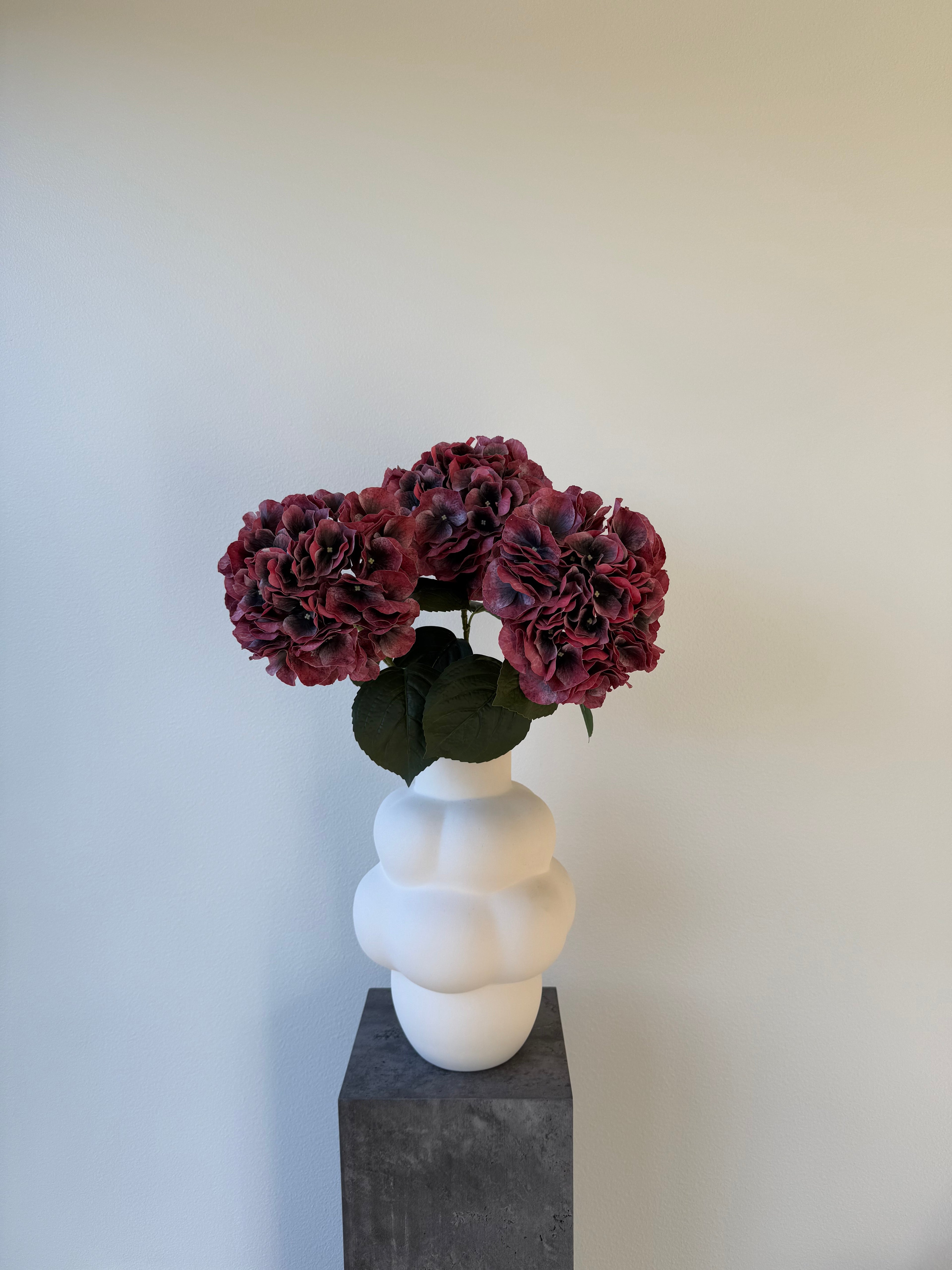 Simple red hydrangea