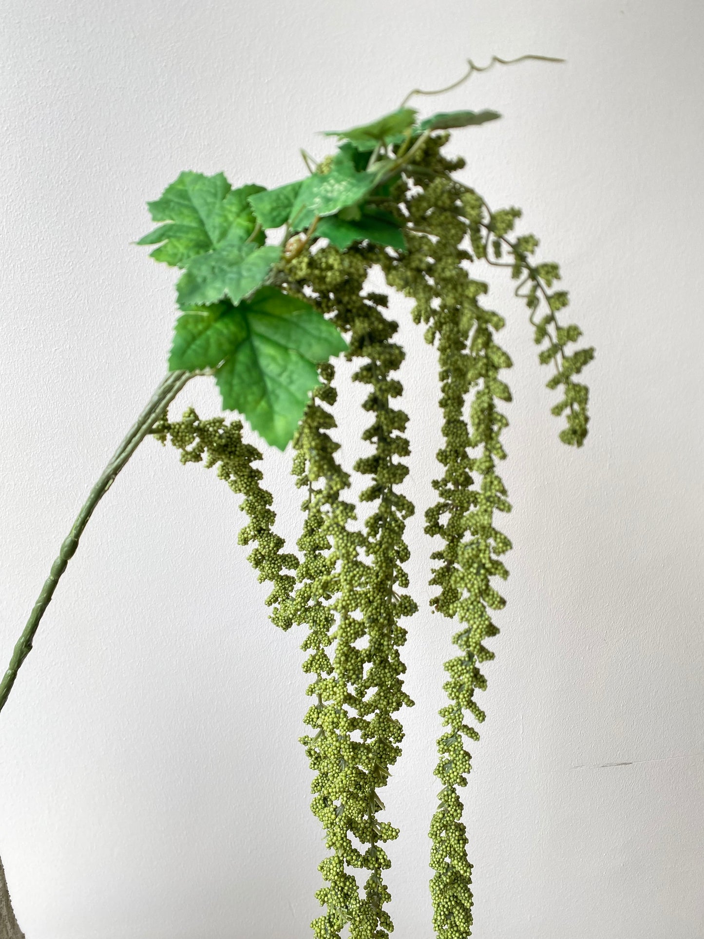 Amaranthus 3.0