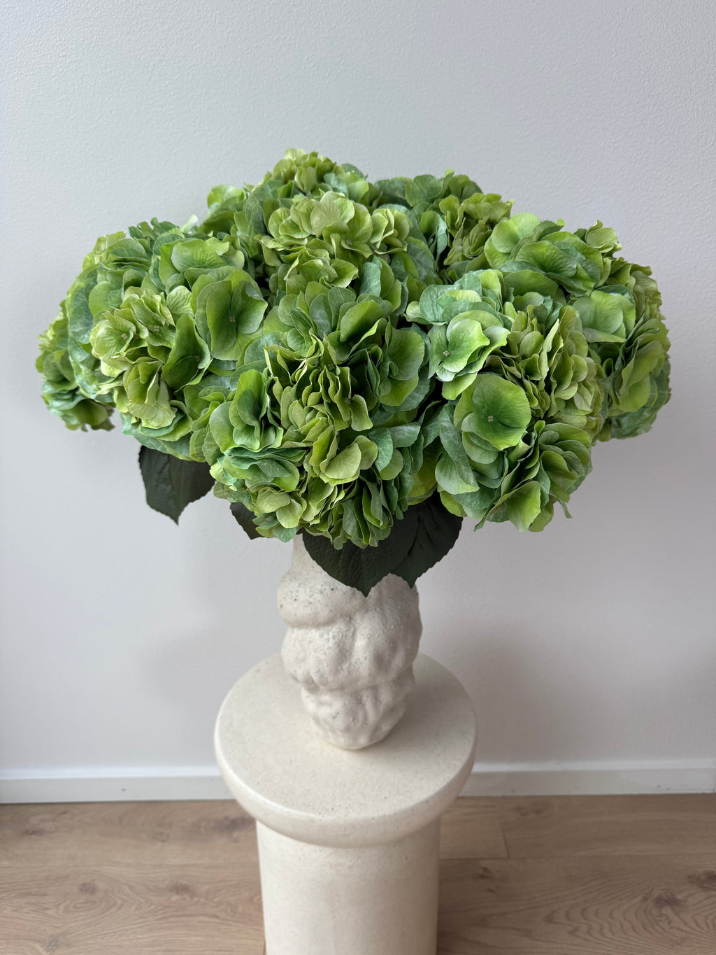 Big green hydrangea