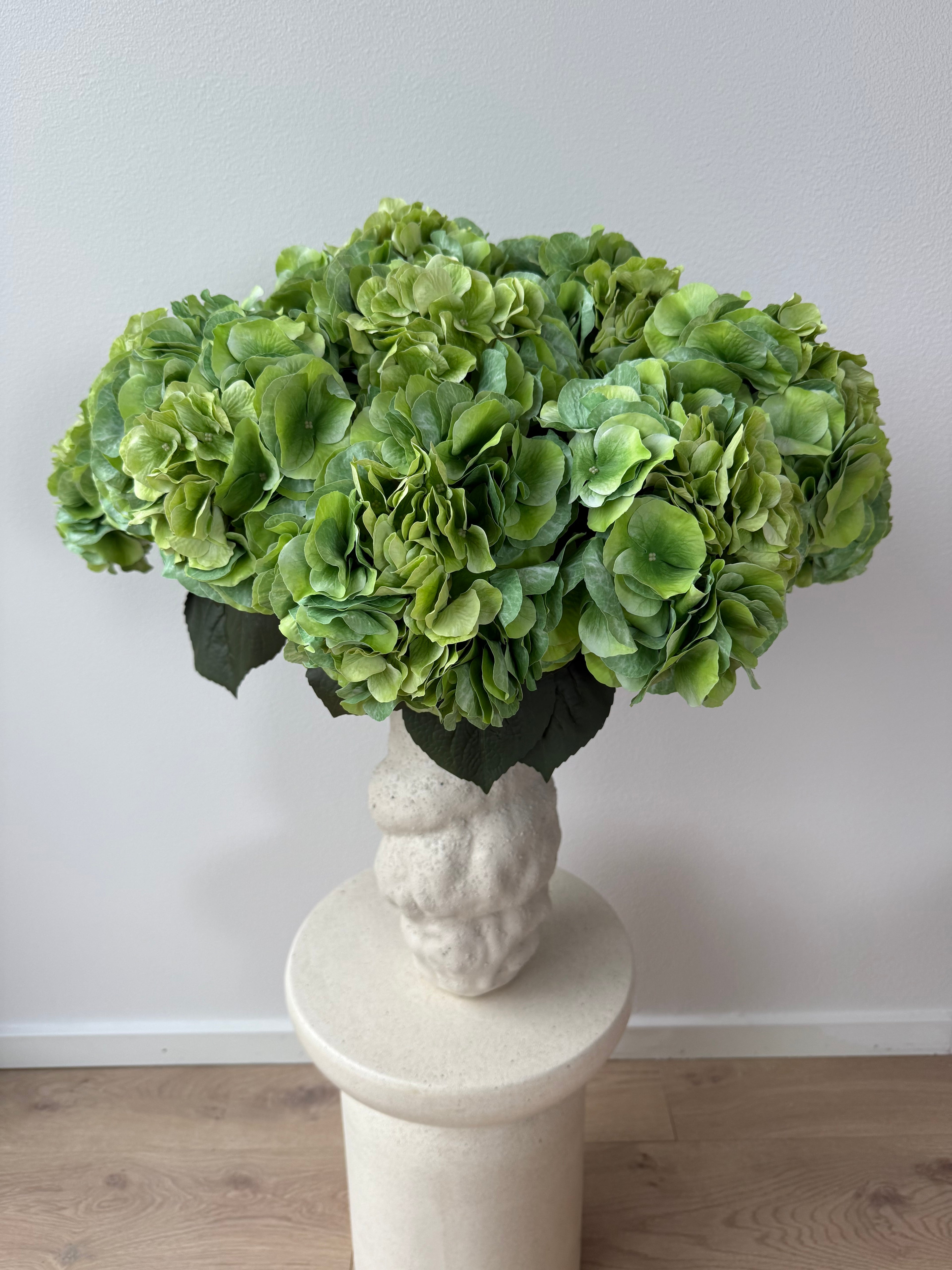 Big green hydrangea