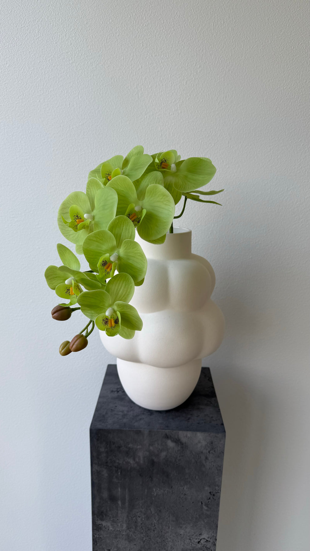Green orchid