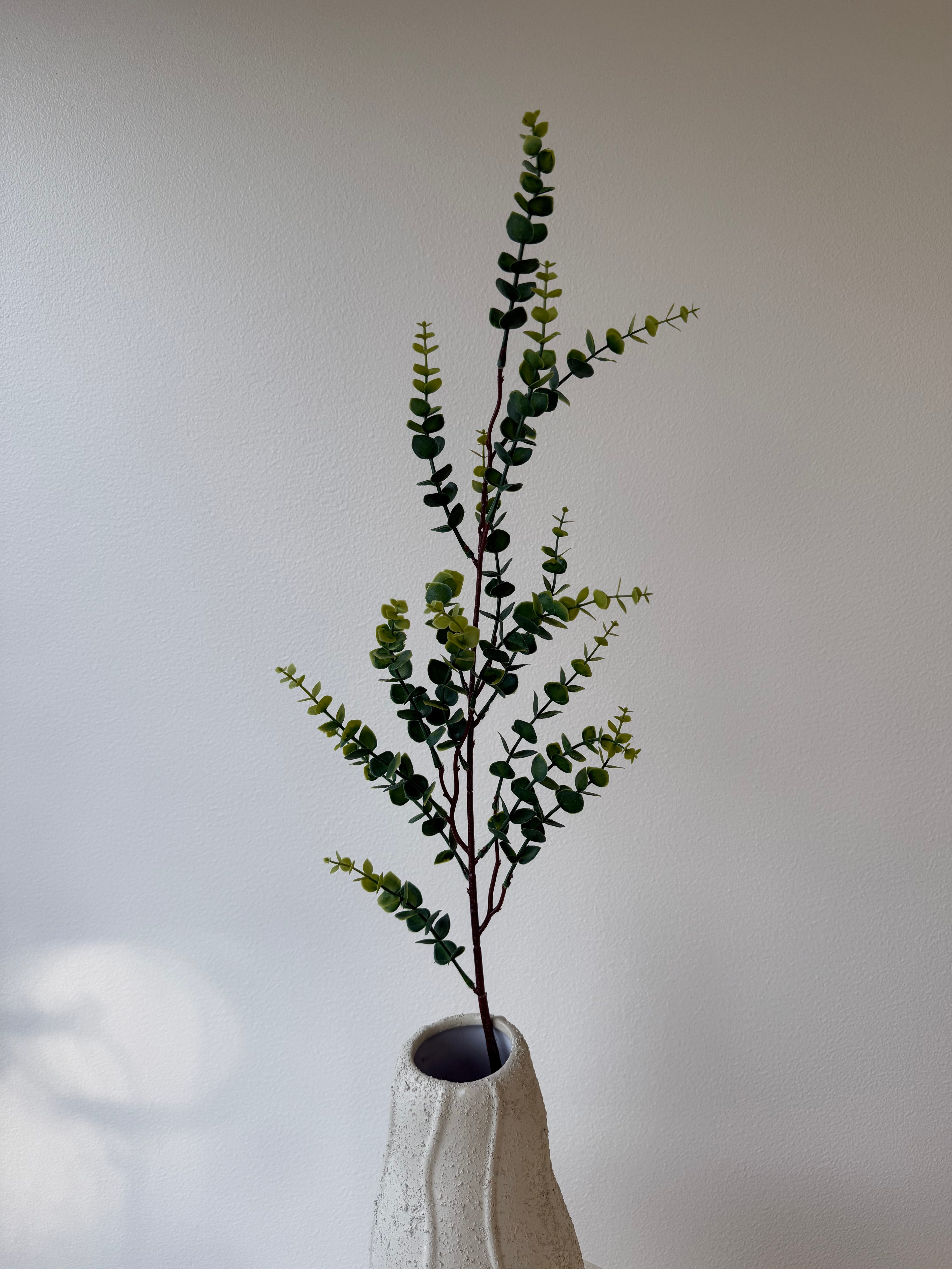 Gummi eucalyptus