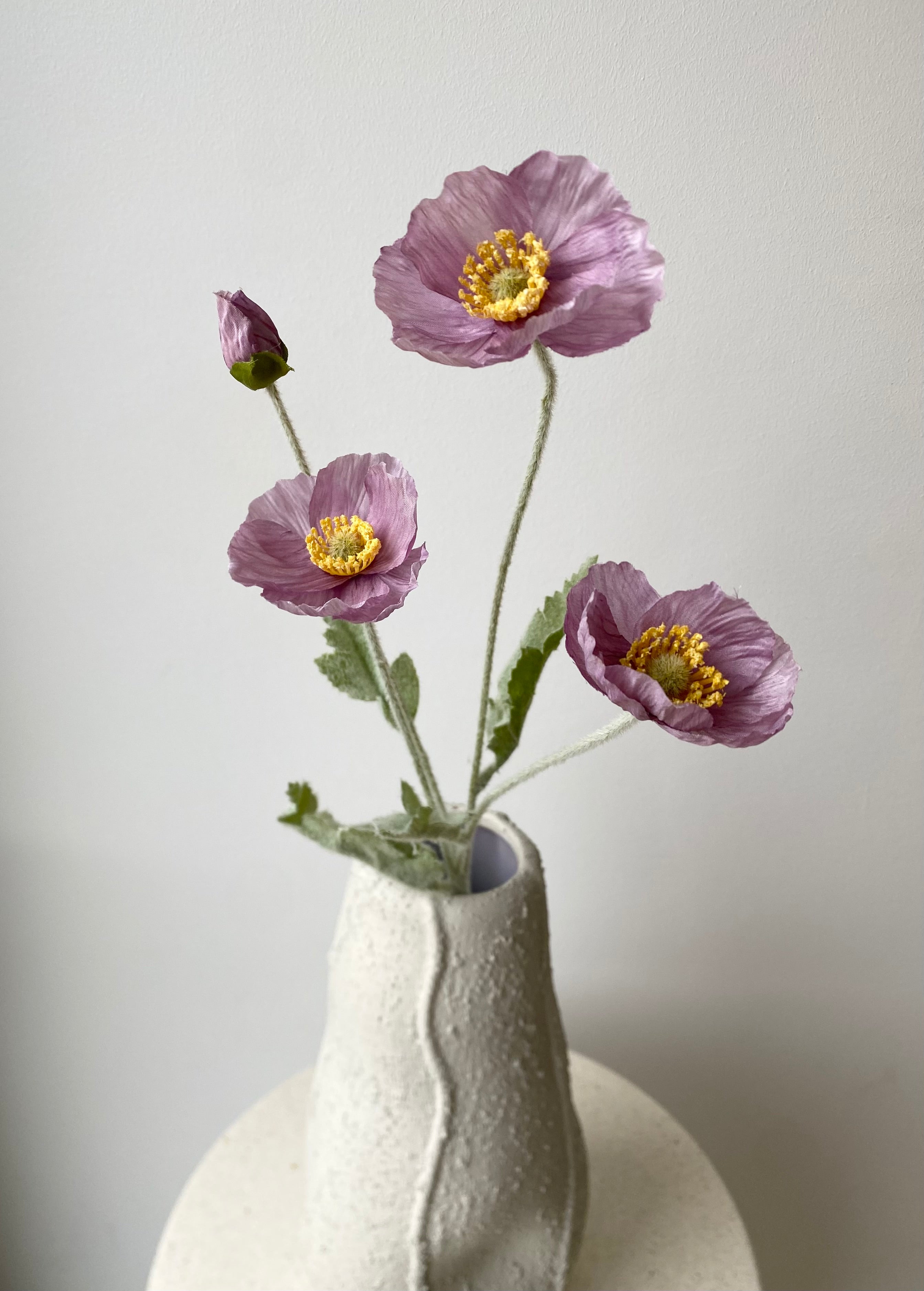 Poppy flower