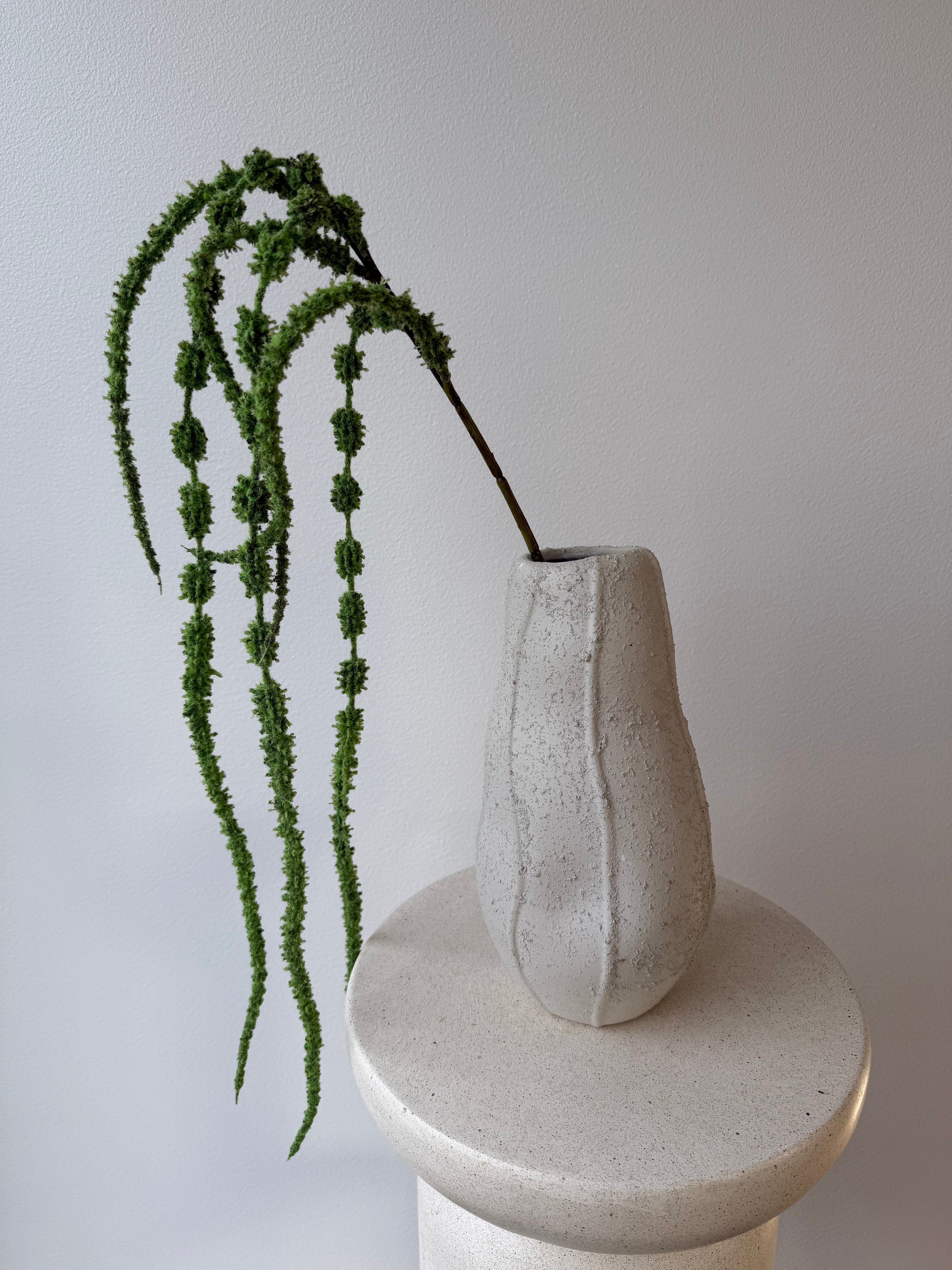 New amaranthus