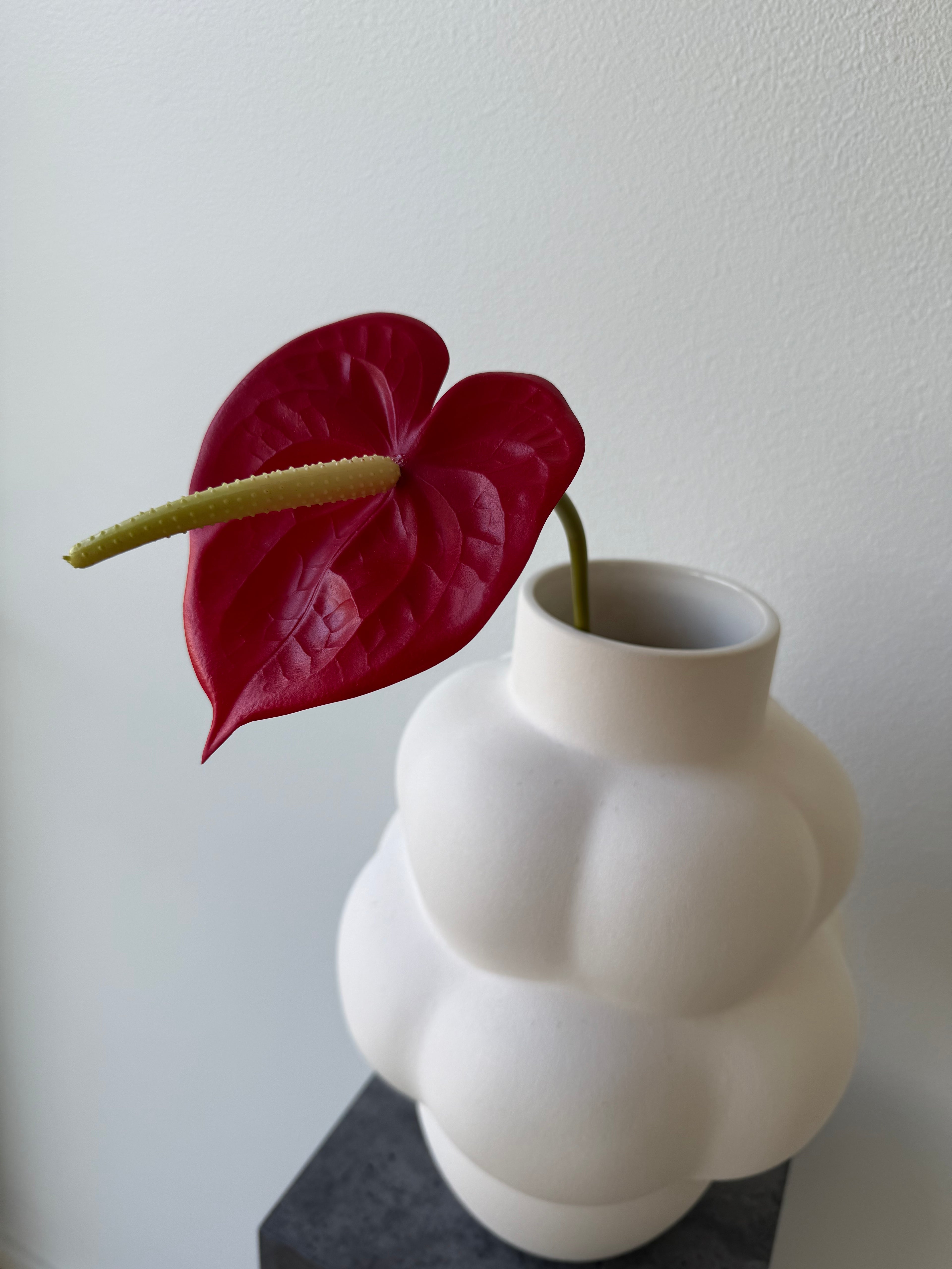 Deluxe red anthurium