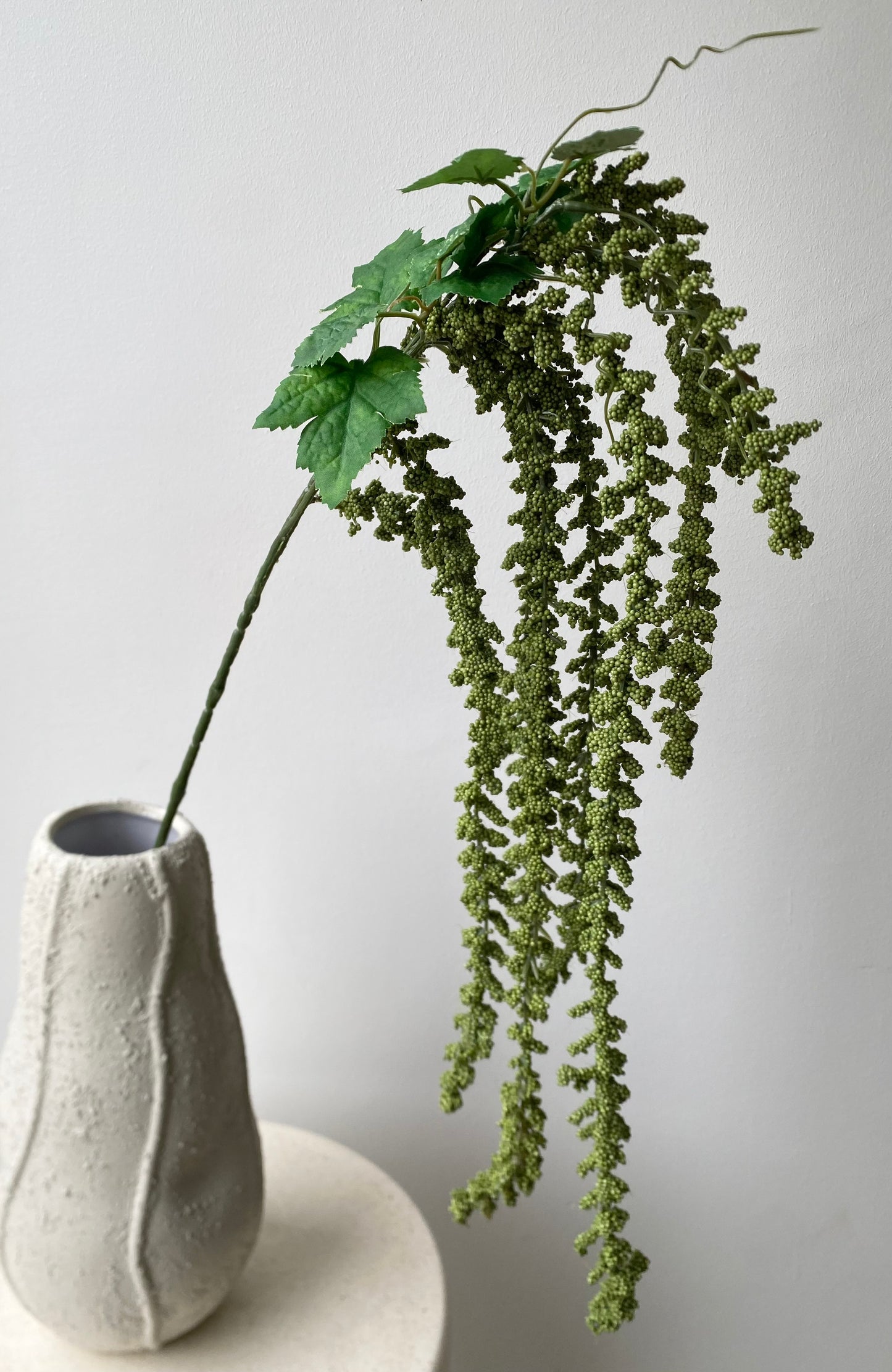 Amaranthus 3.0