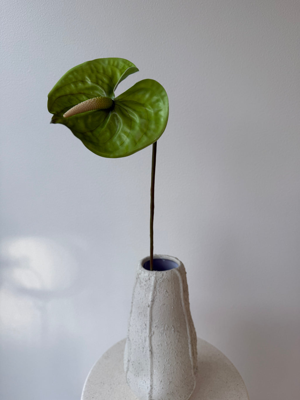 Deluxe green anthurium
