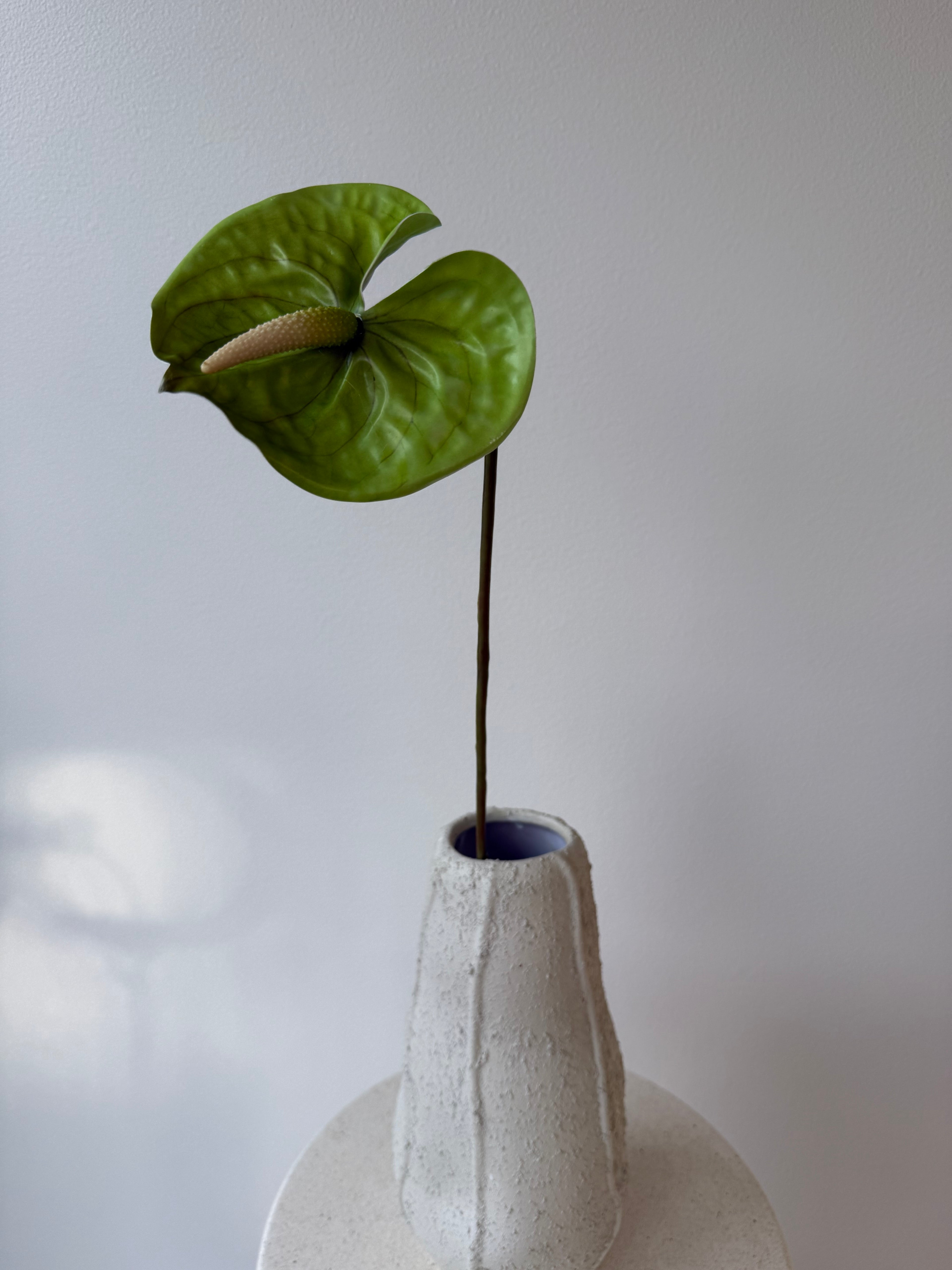 Deluxe green anthurium