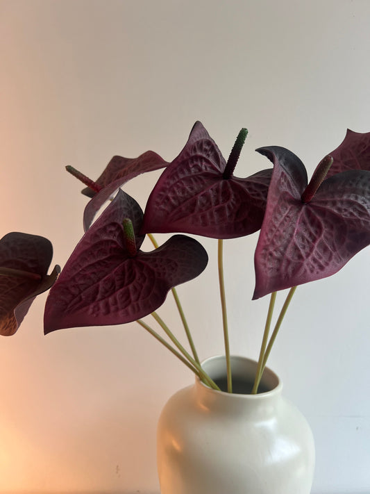 Red anthurium