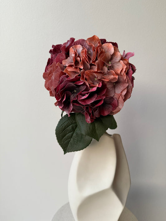 Hyndrangea fall, red mix