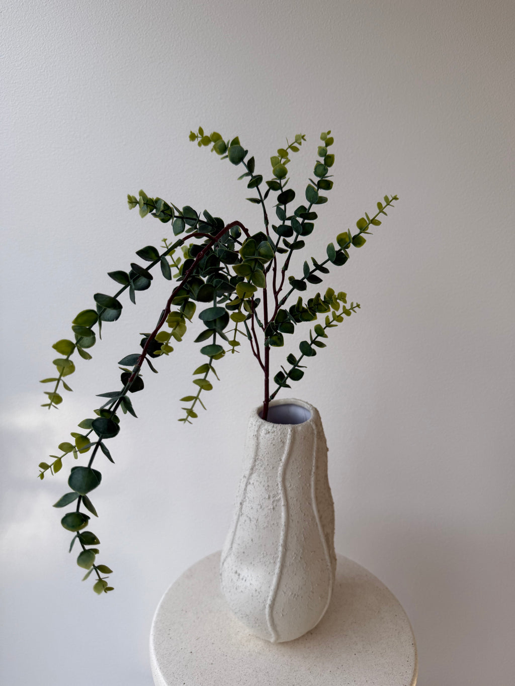 Gummi eucalyptus