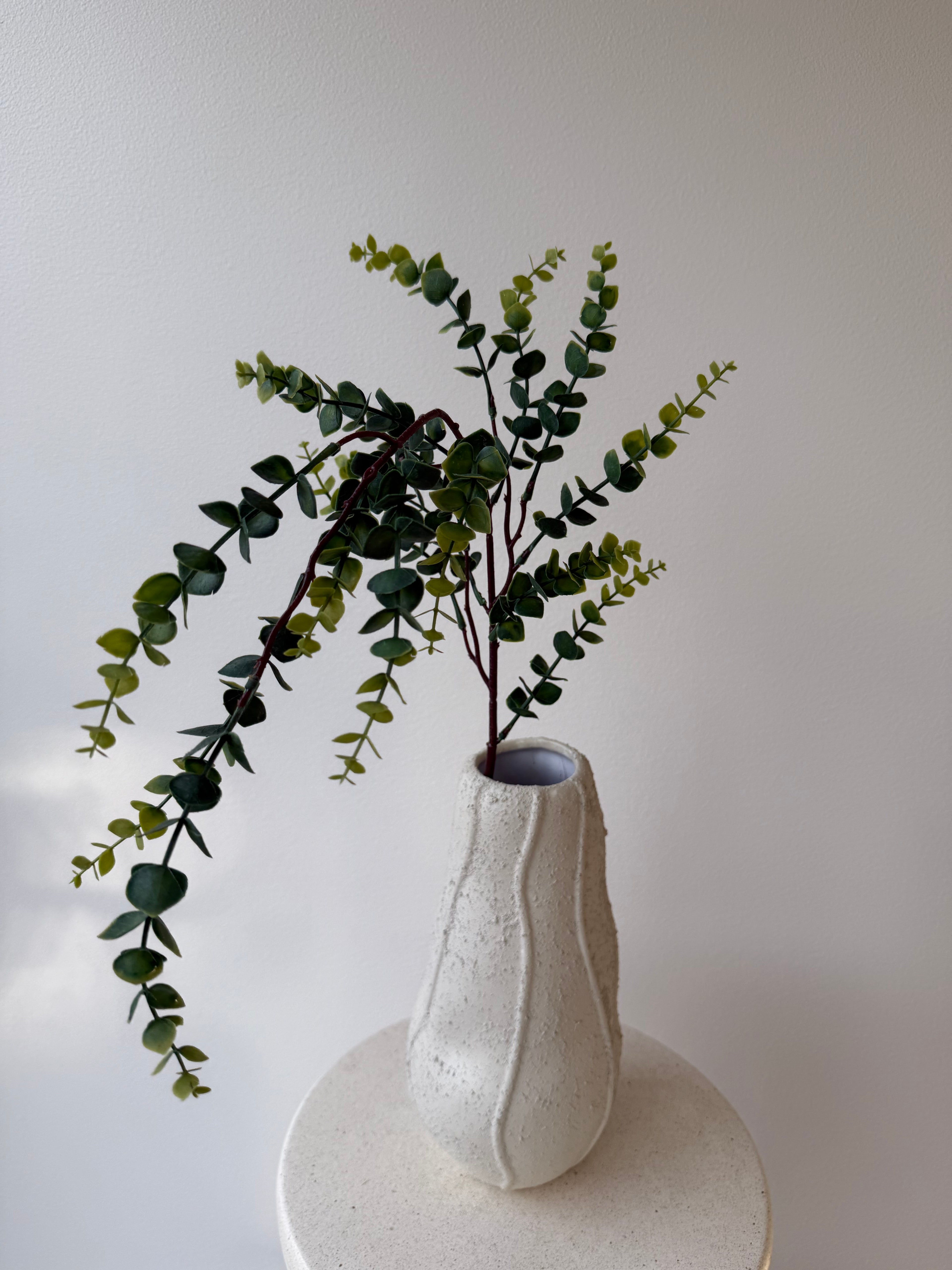Gummi eucalyptus