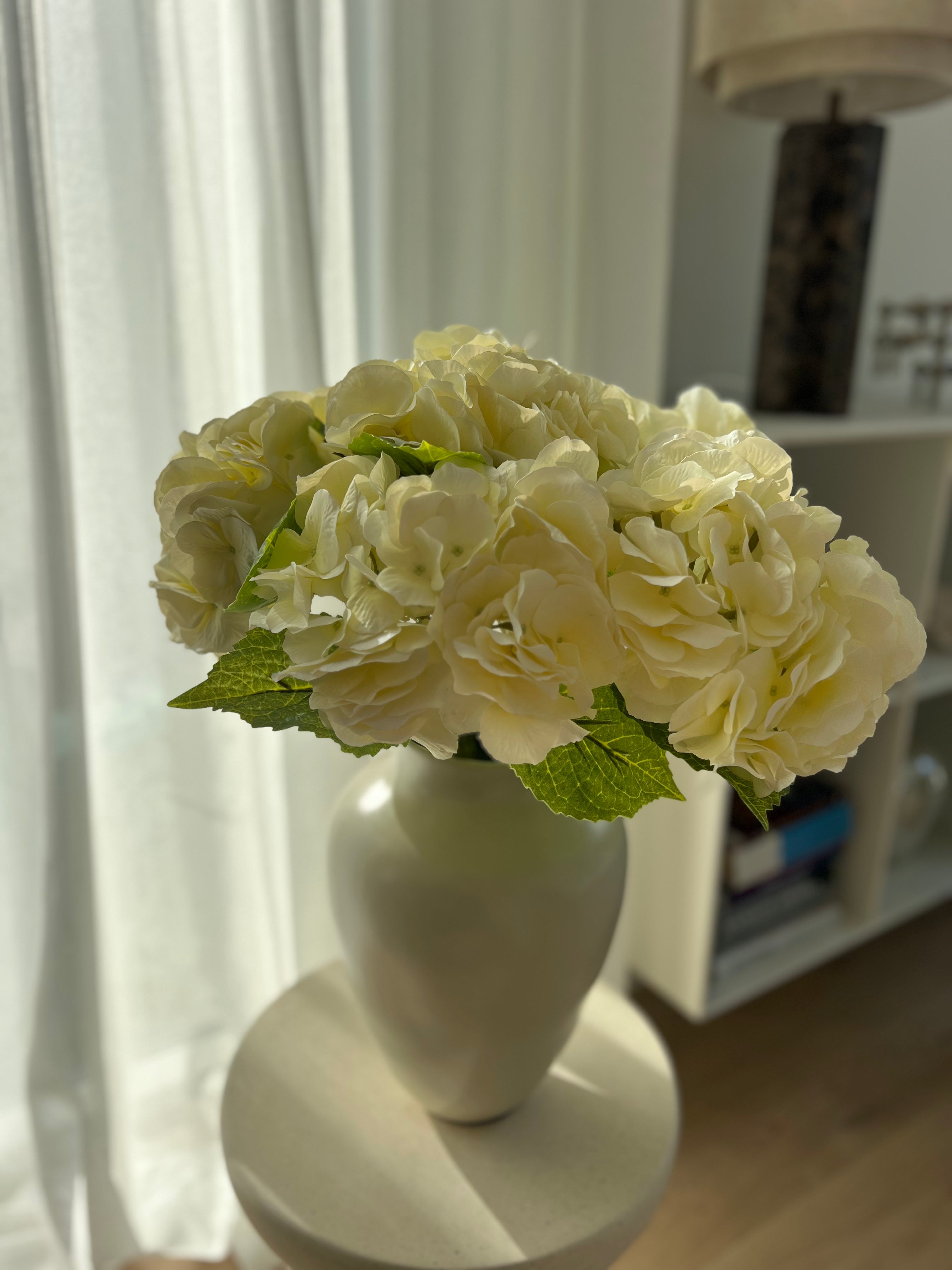 Big hydrangea creme