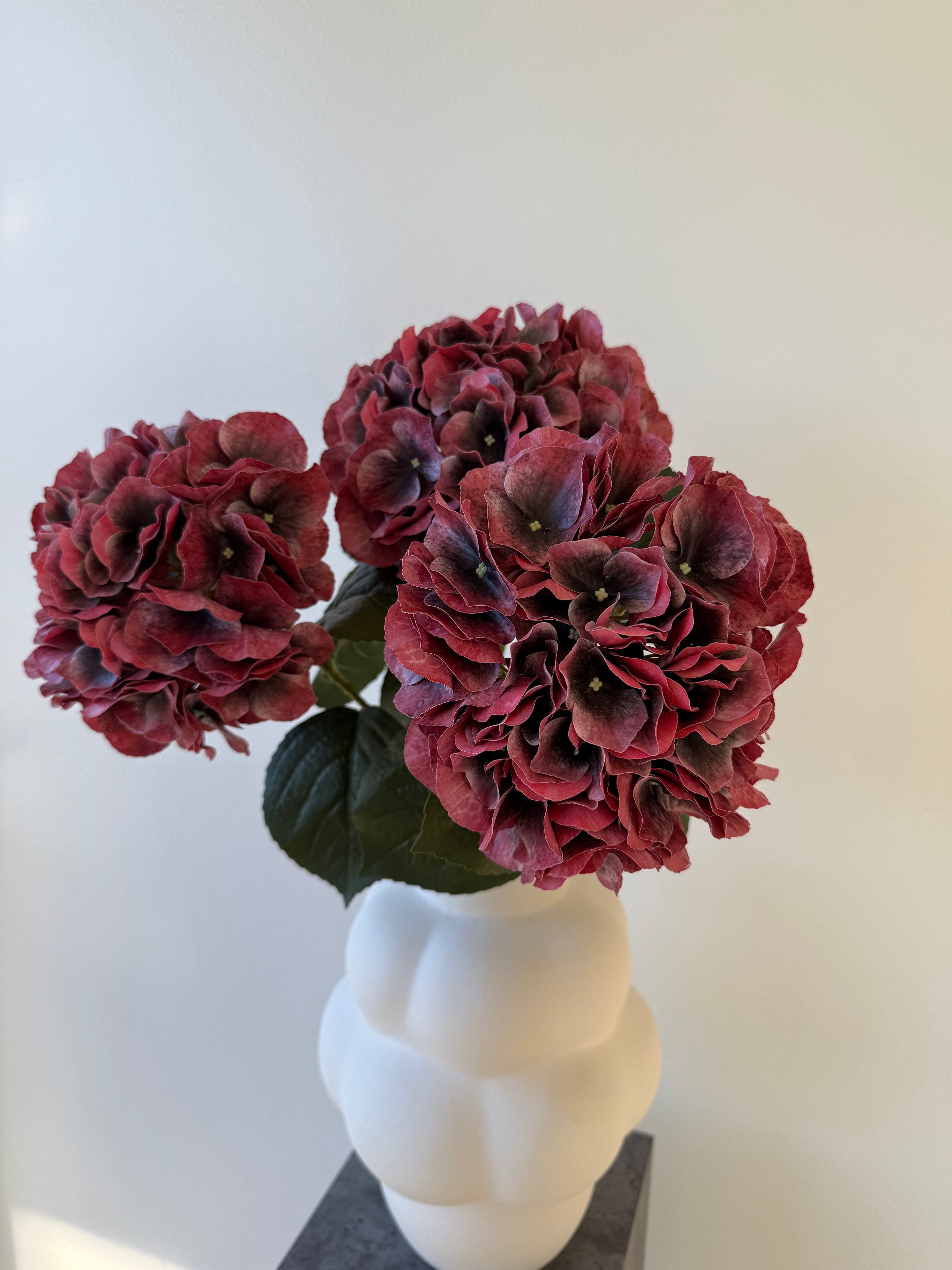 Simple red hydrangea