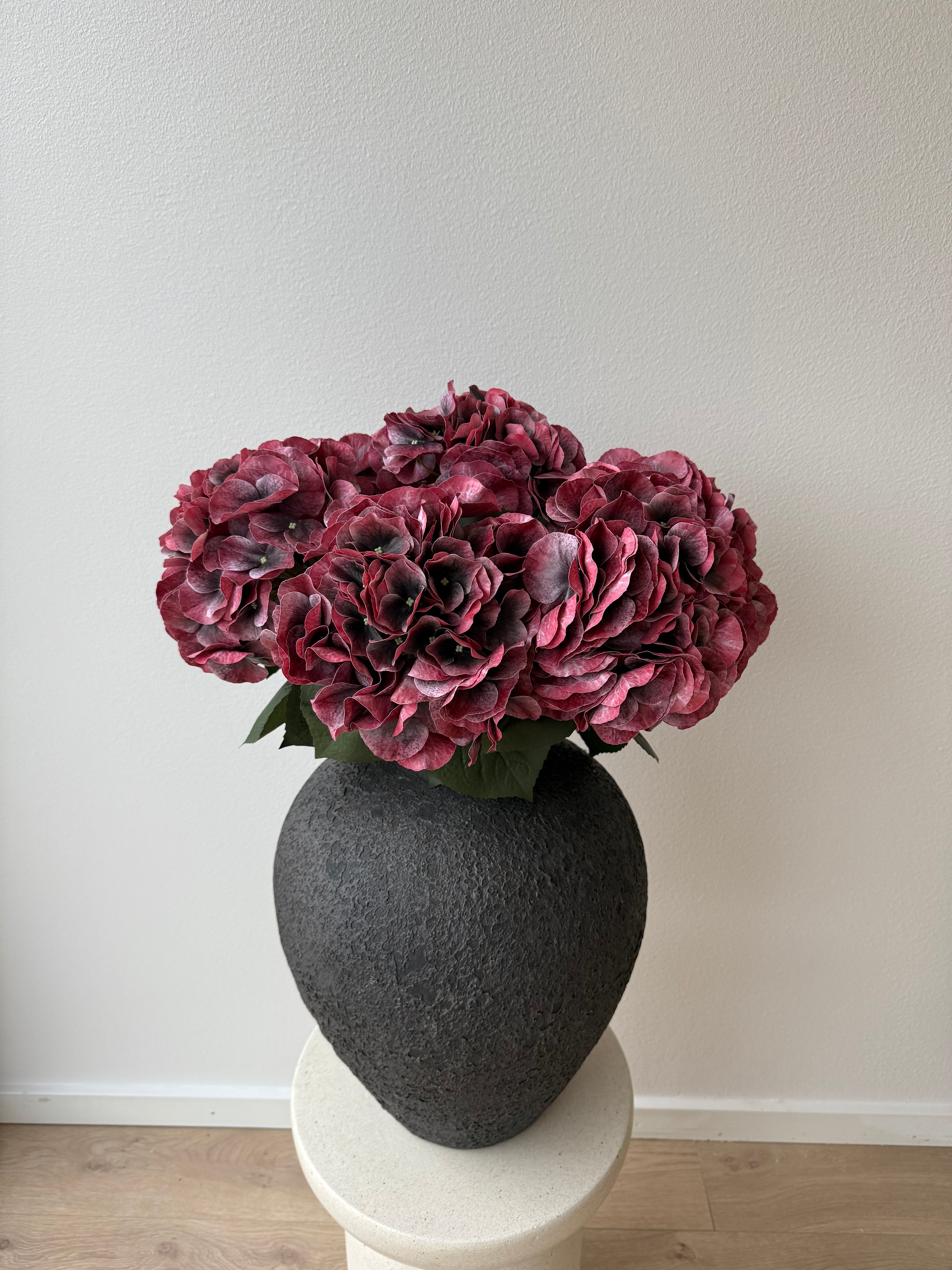 6 x red hydrangea