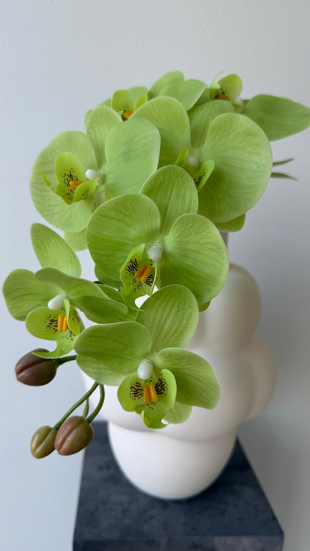 Green orchid
