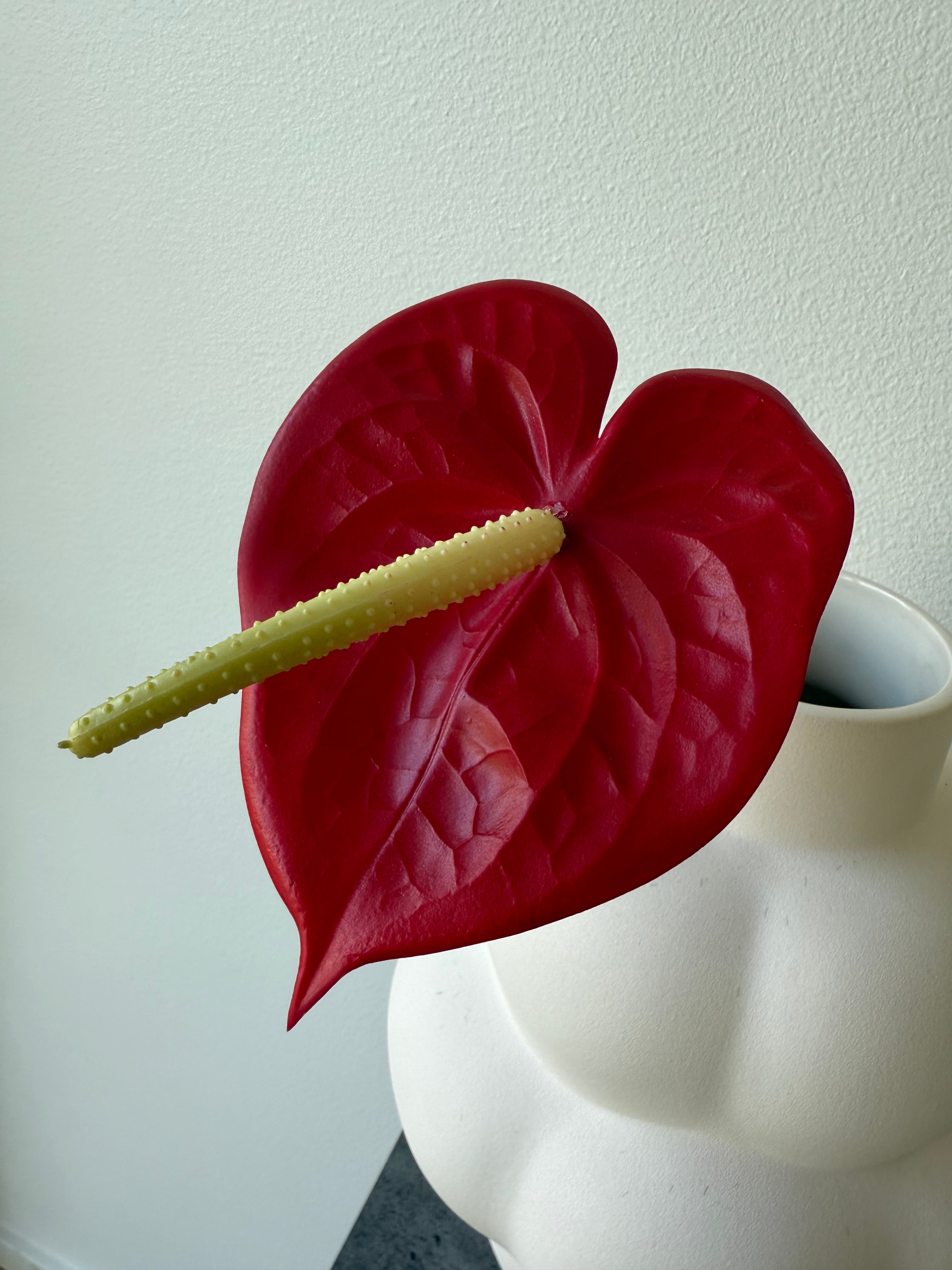 Deluxe red anthurium