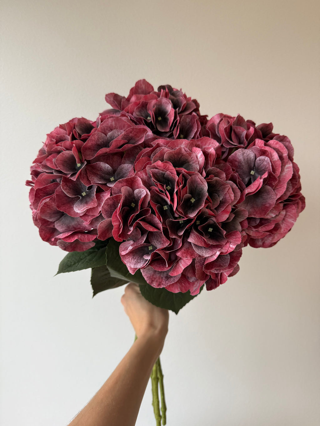 6 x red hydrangea