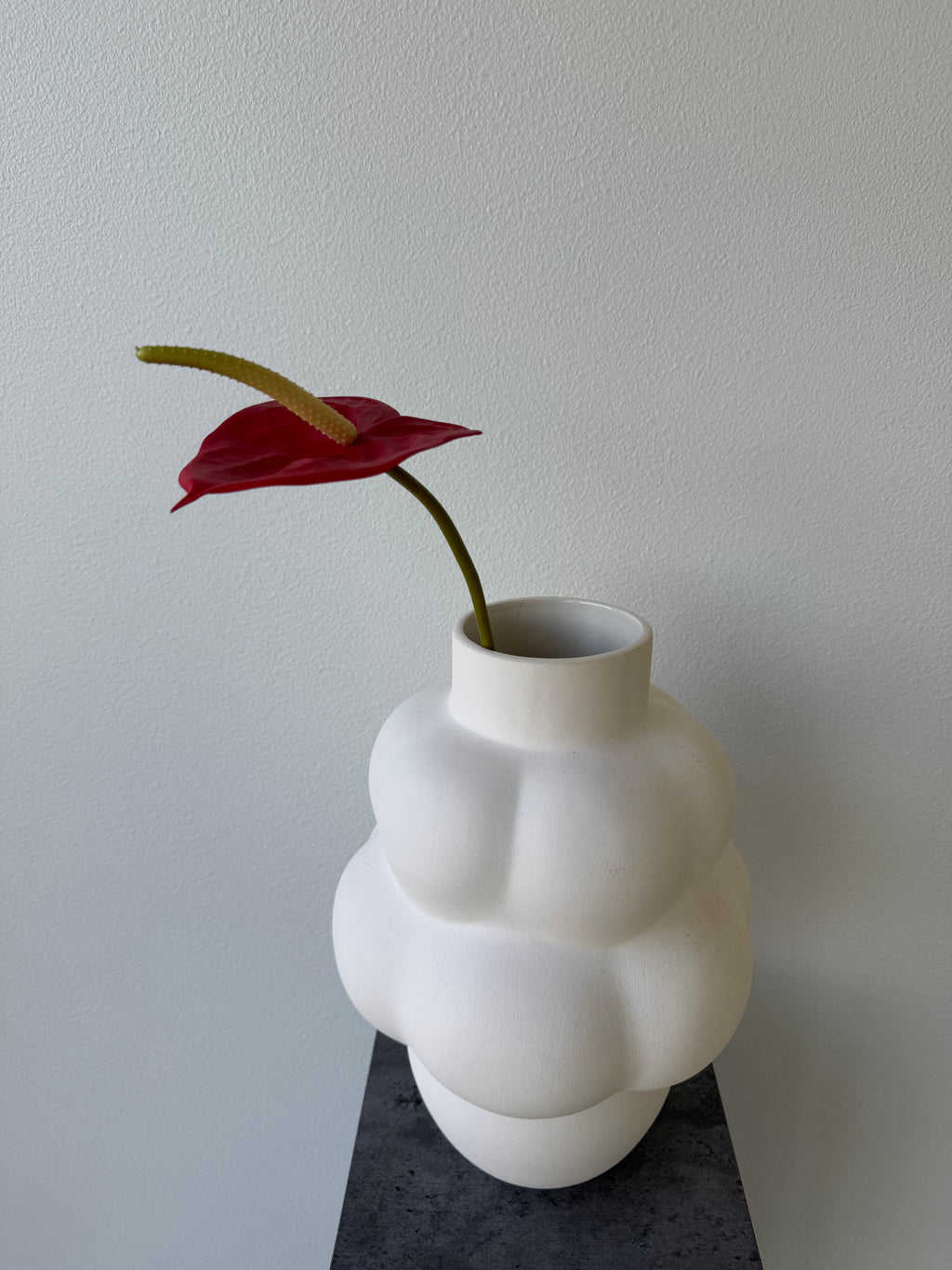 Deluxe red anthurium