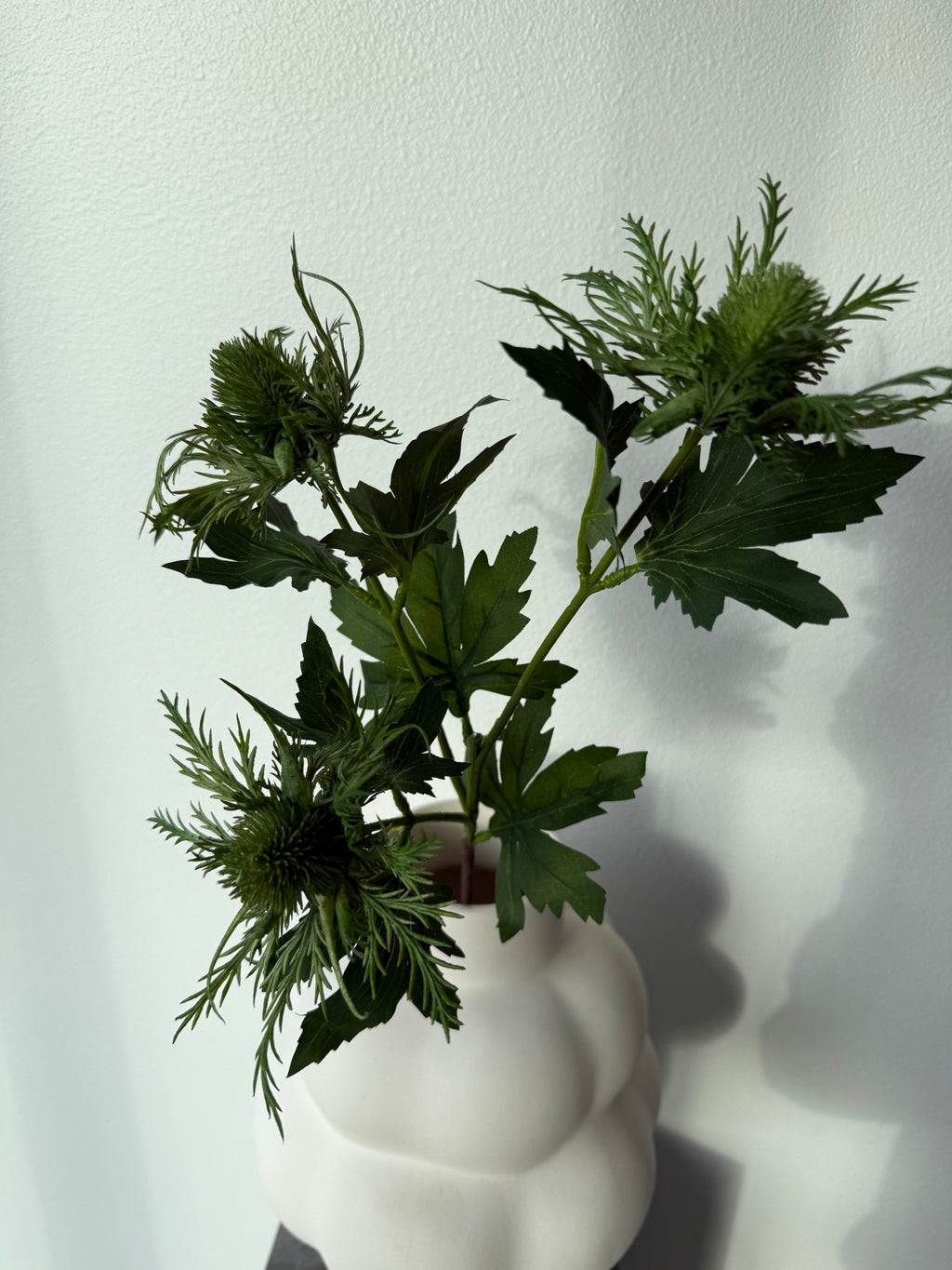 Eryngo flower