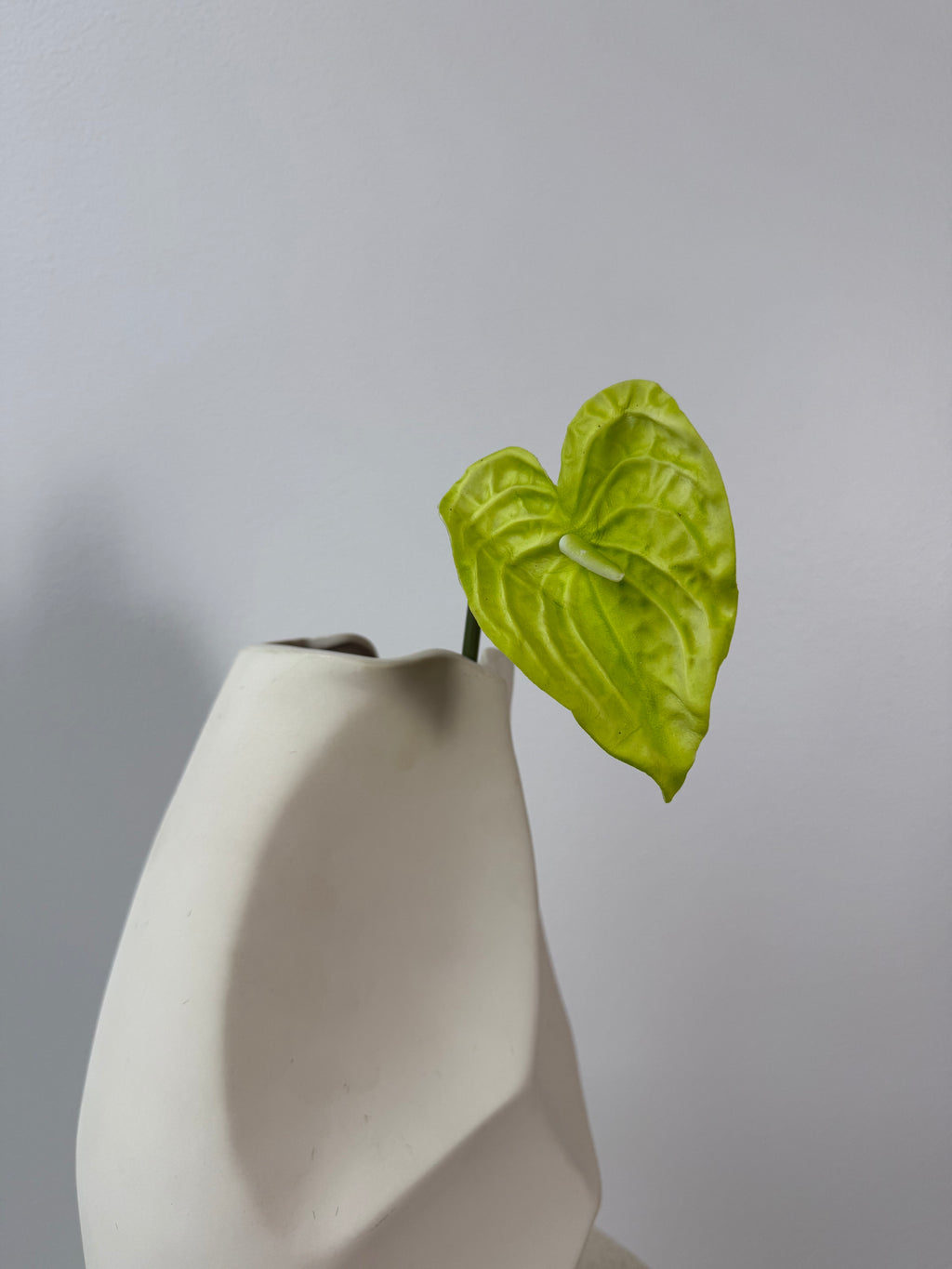Little green anthurium