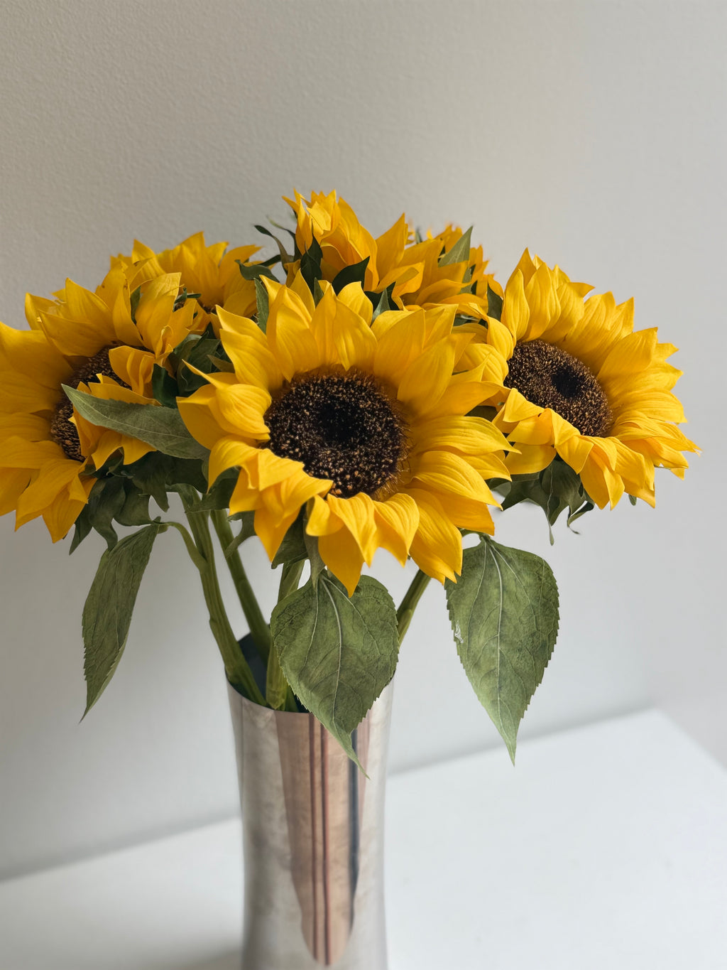 Sunflower Fields