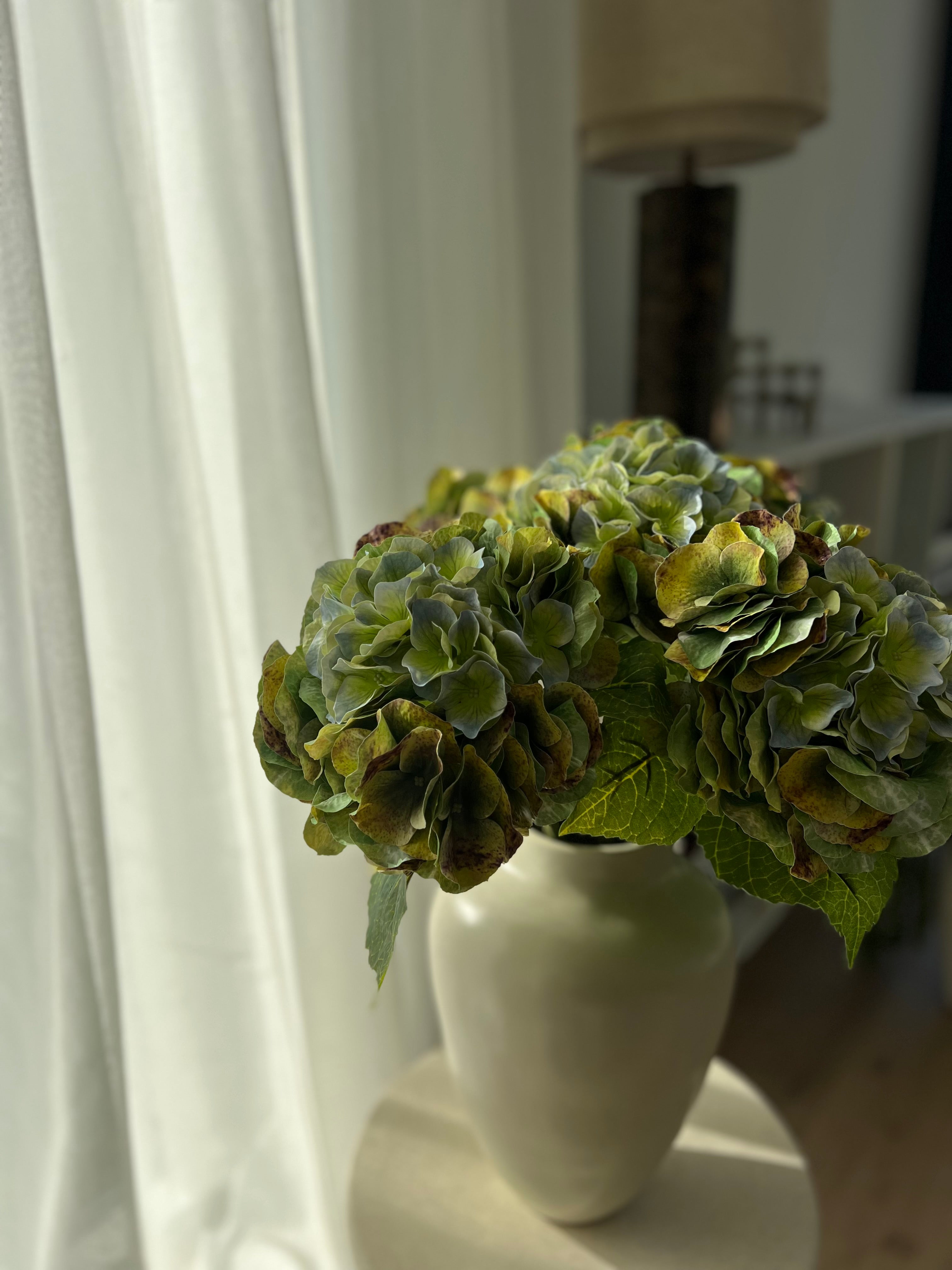 Hydrangea green fall with bright leaves