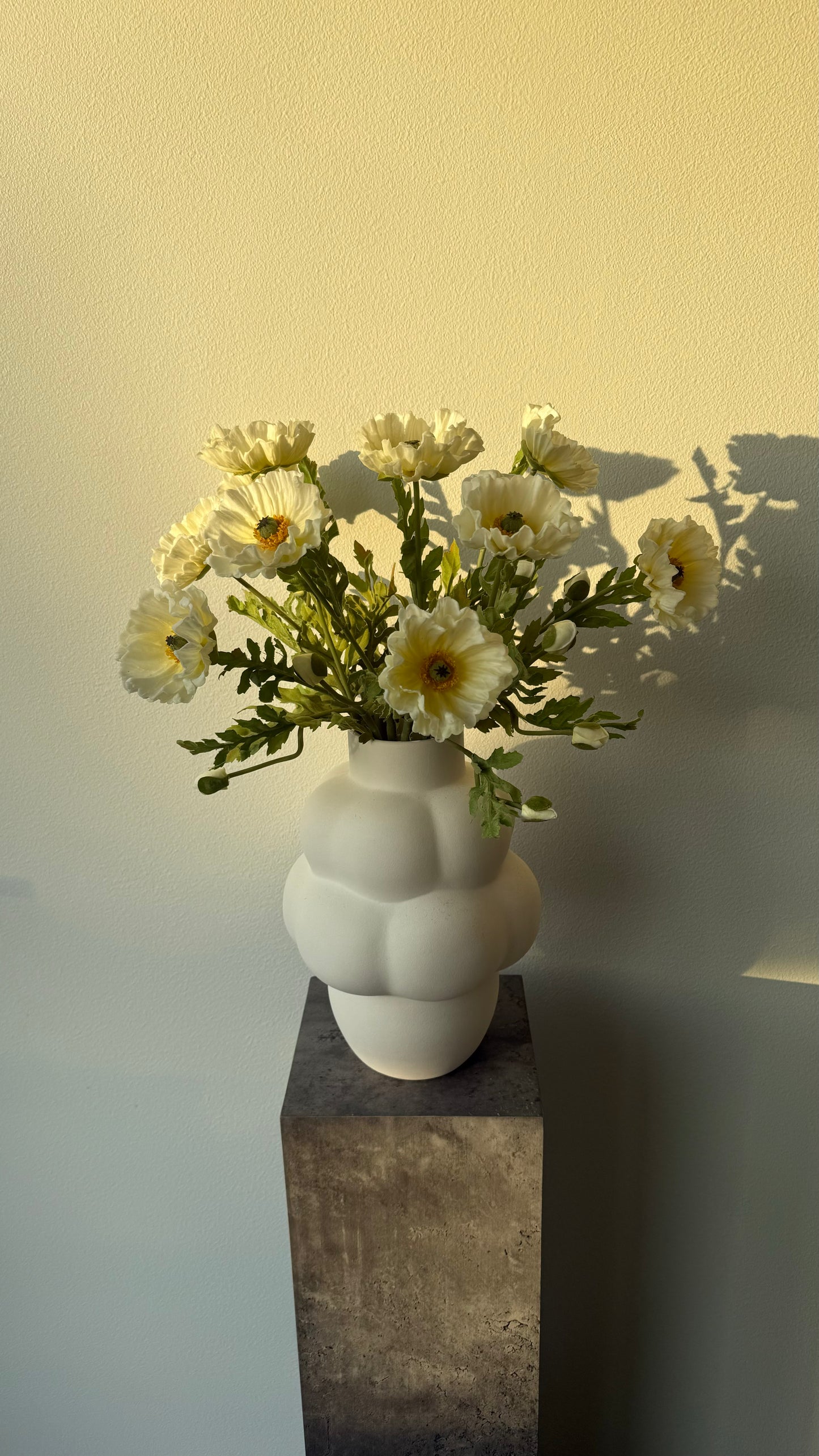 Deluxe poppy big White