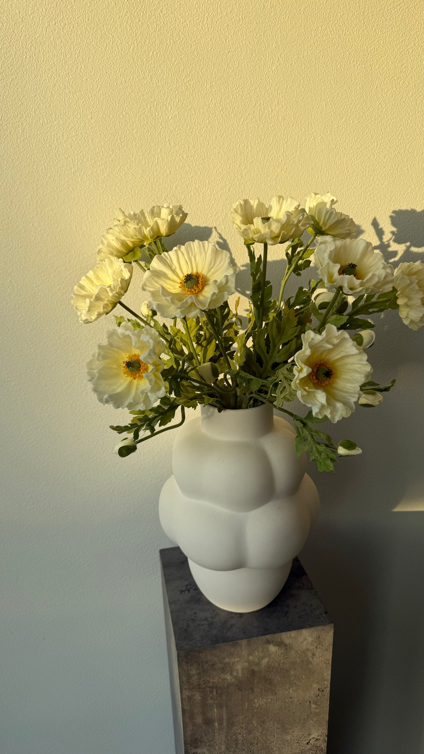 Deluxe poppy big White