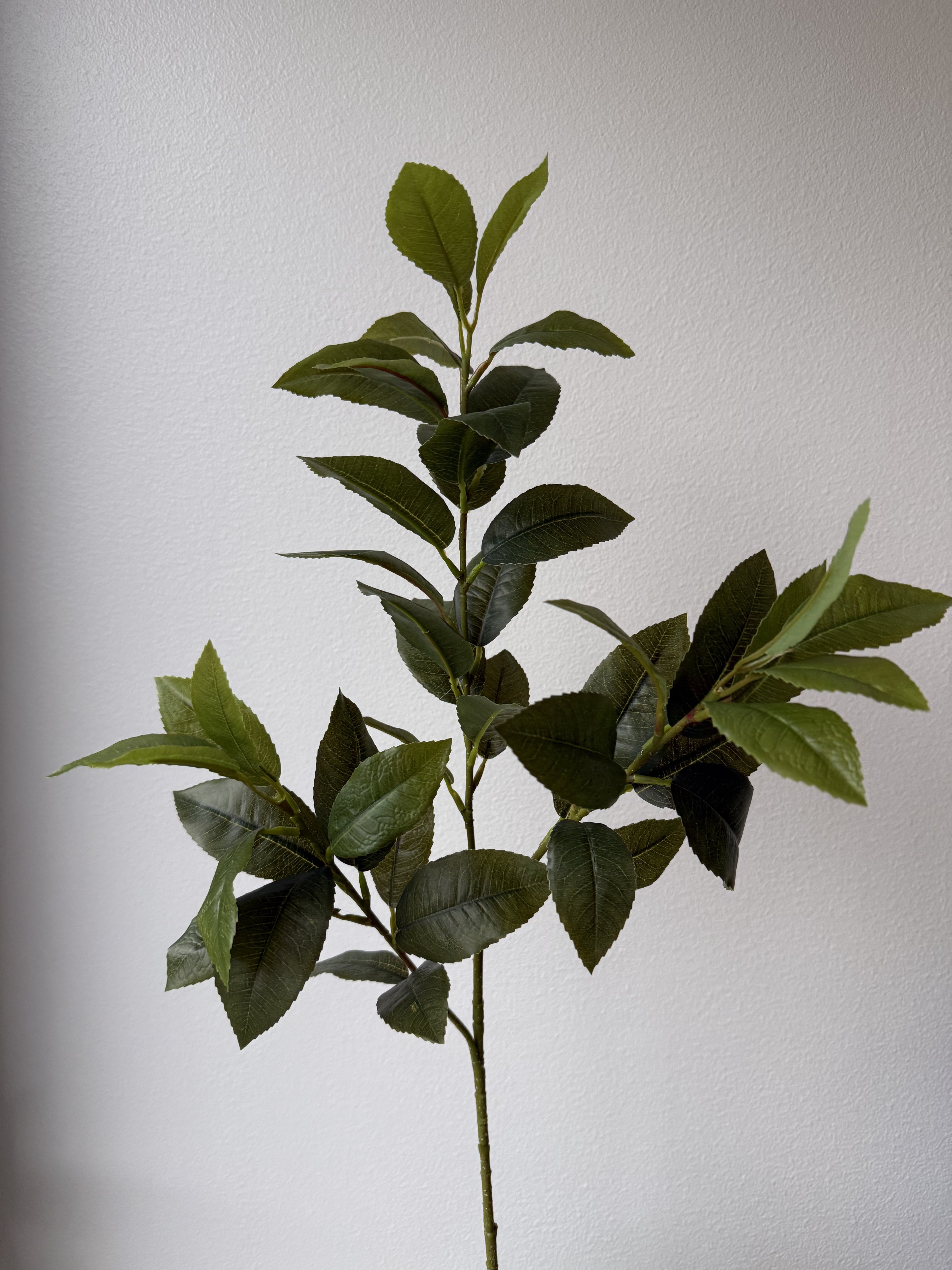 Green leaves
