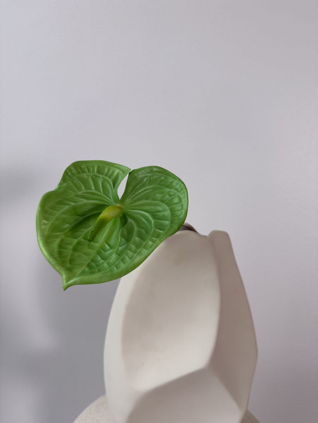 Green anthurium