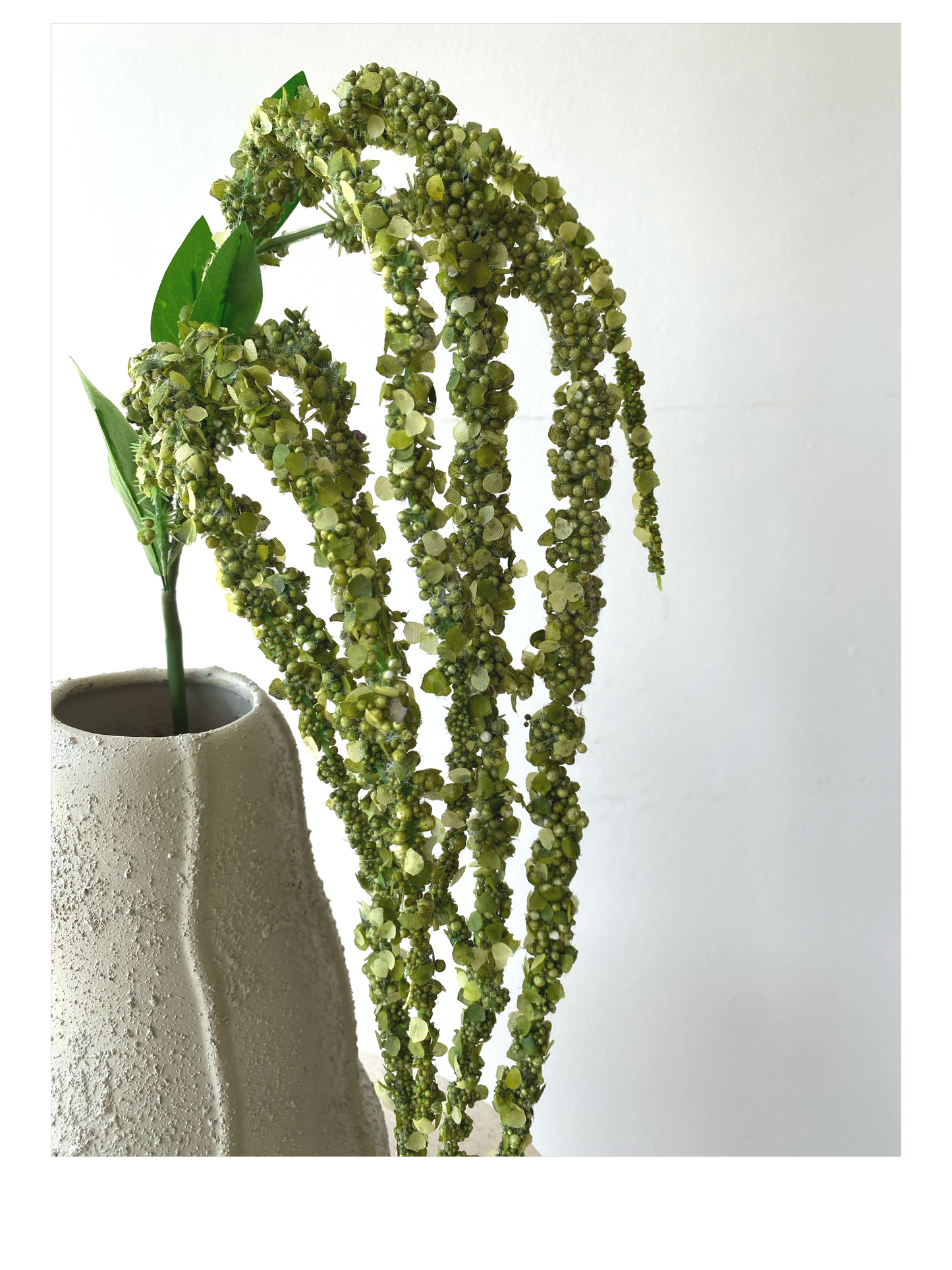 Amaranthus leaves