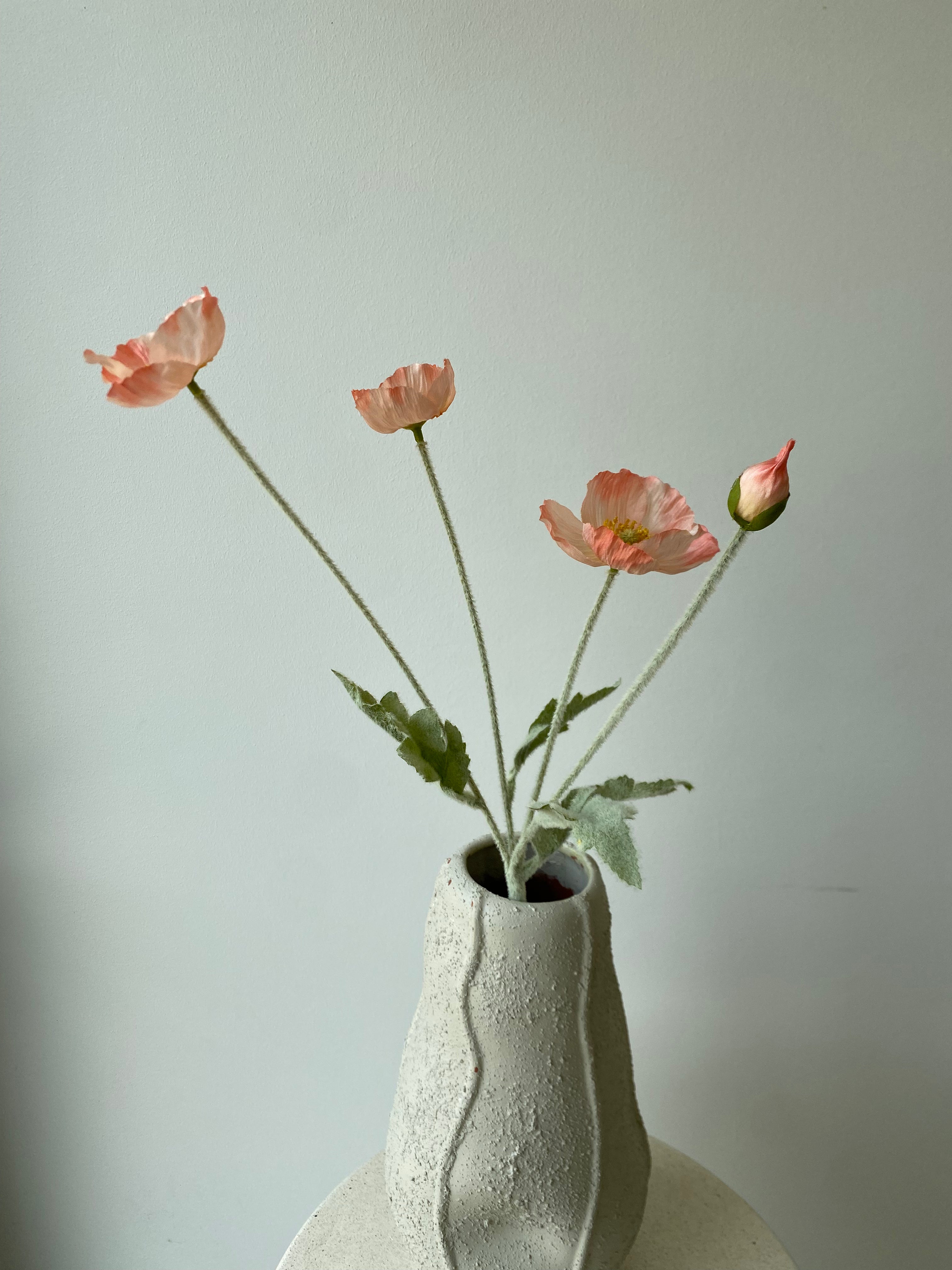 Poppy flower