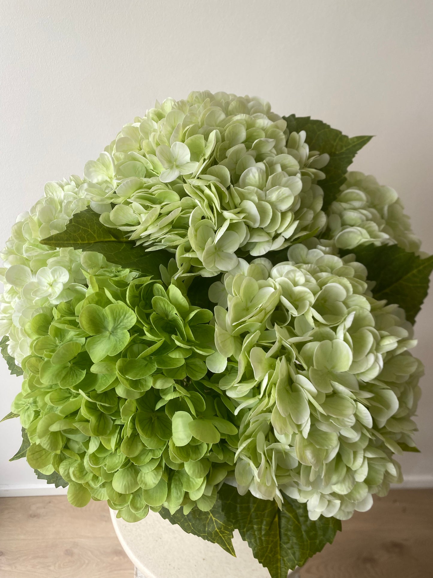 Big Hydrangea