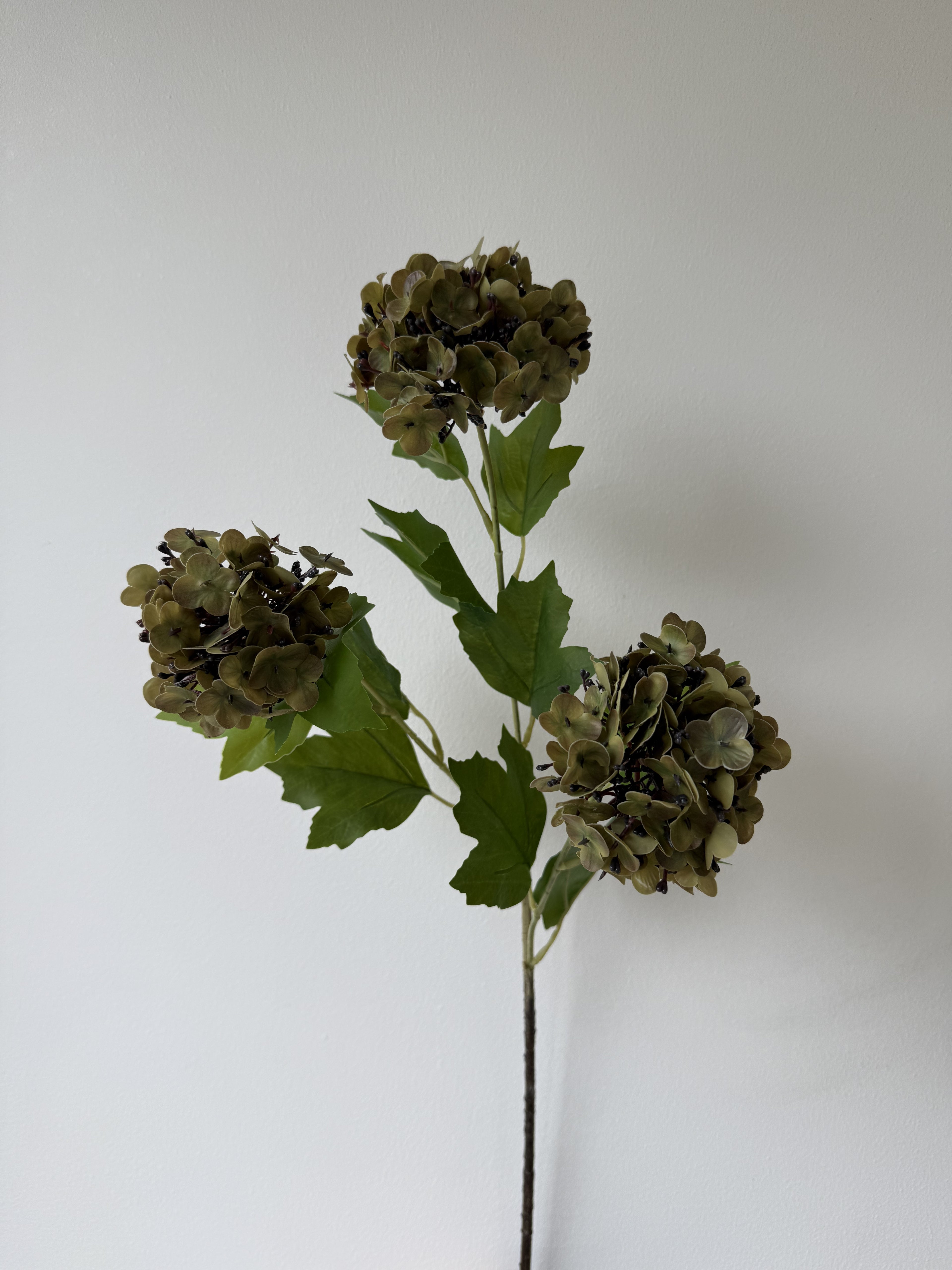 3 head hydrangea dark green