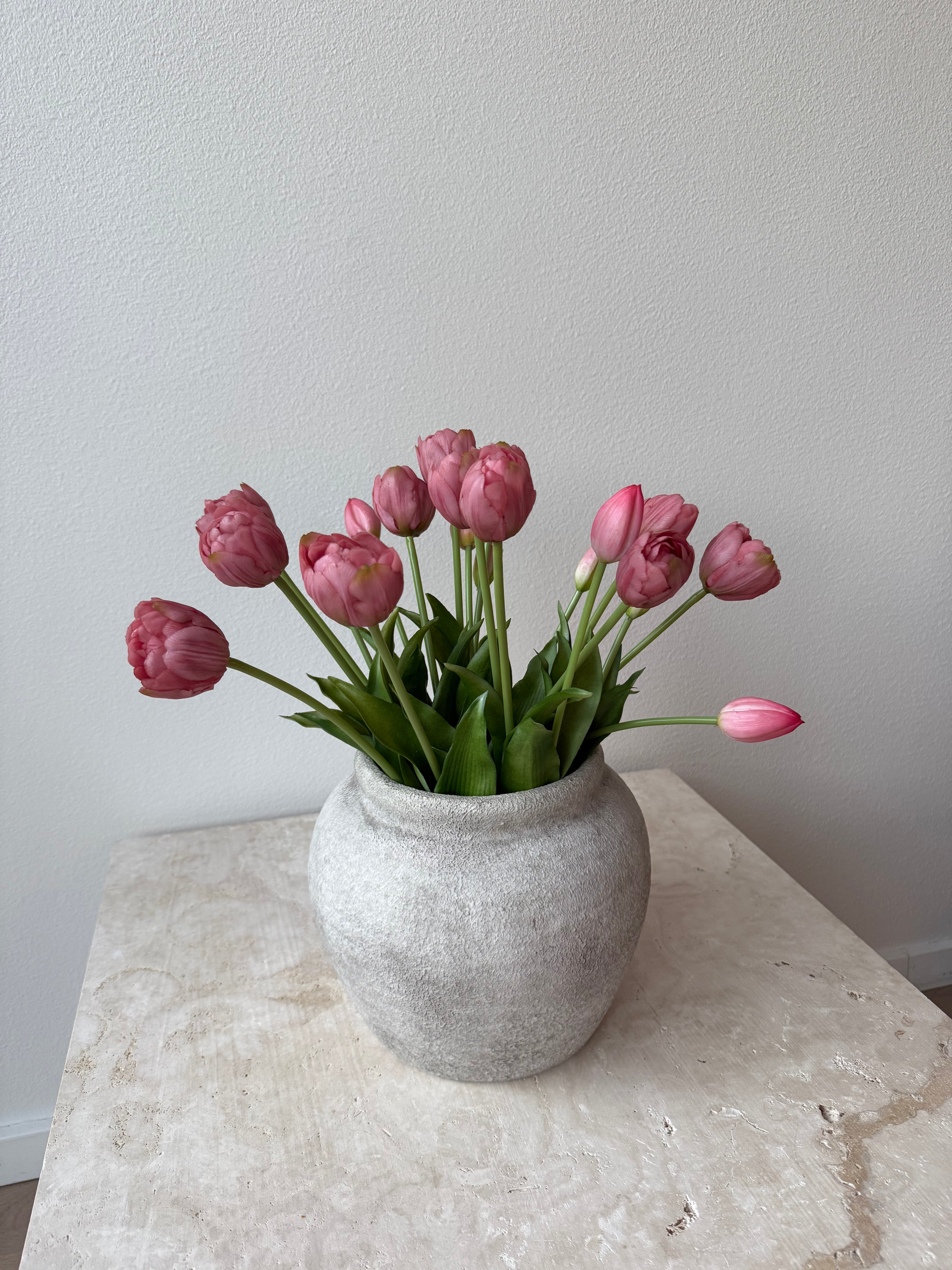 Tulipaner light purple 20 stk.